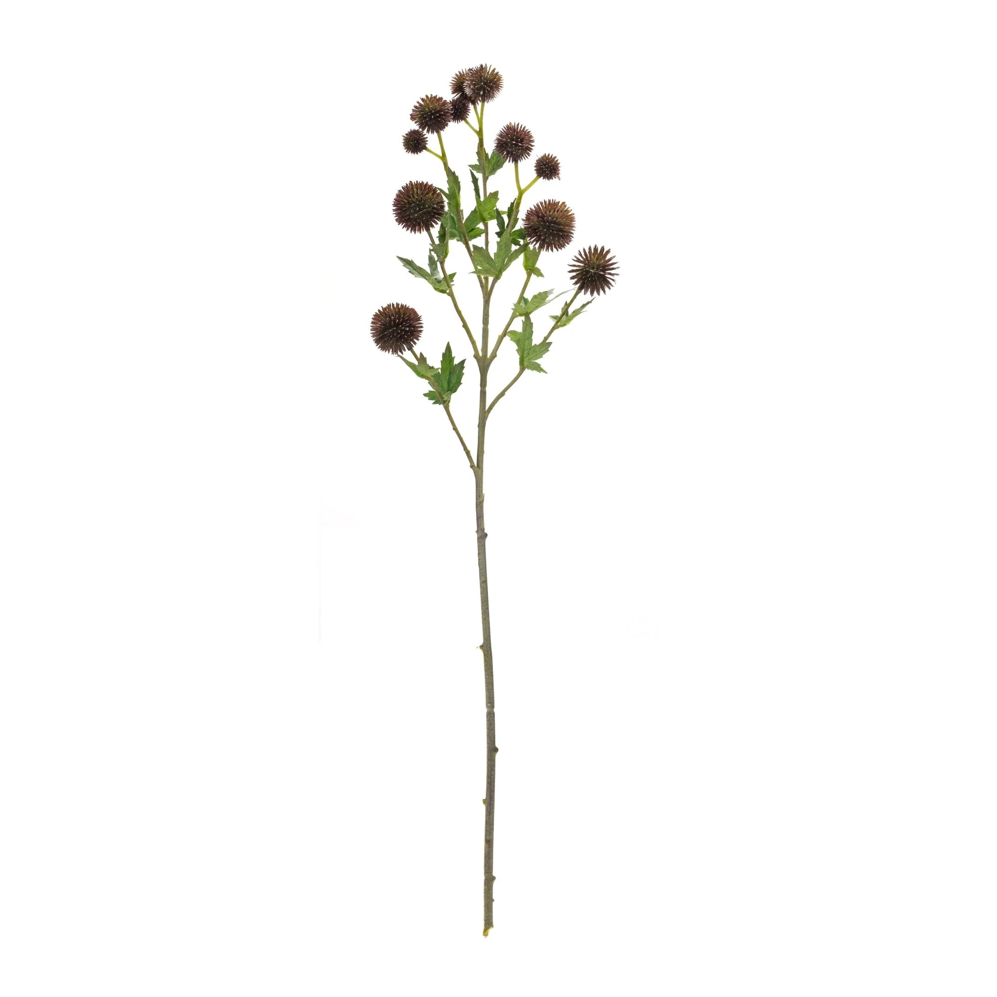 Brown Allium Floral Spray (Set of 6) - Image 3