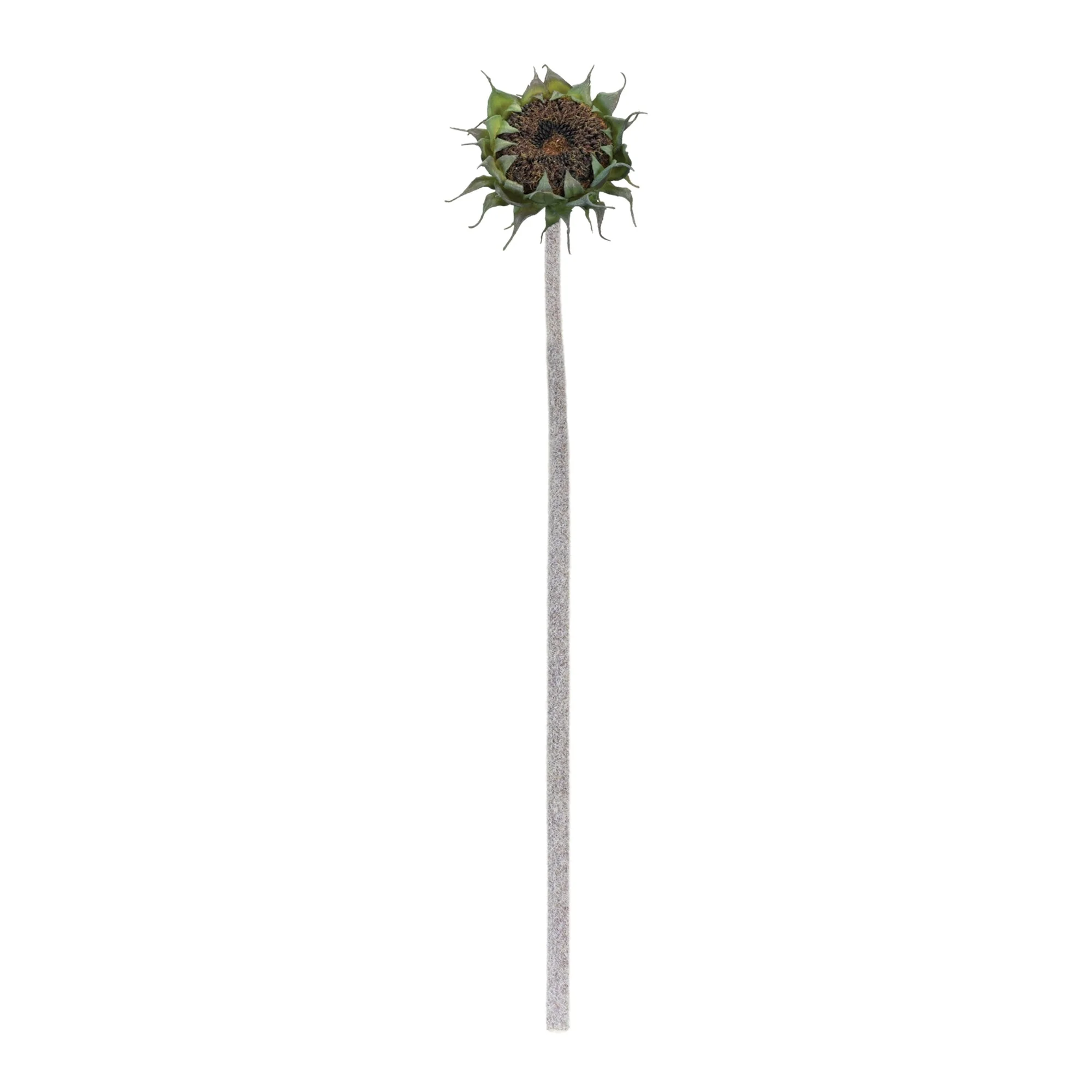 Brown Sunflower Stem (Set of 6) - Image 2