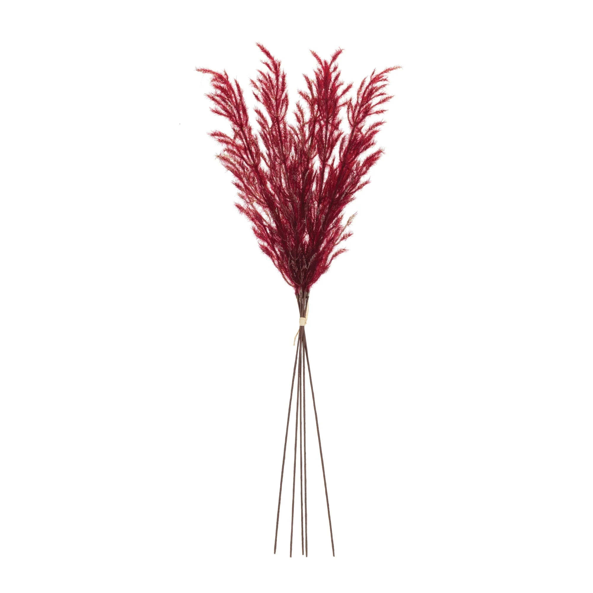 Burgandy Plume Bundle (Set of 6) - Image 2