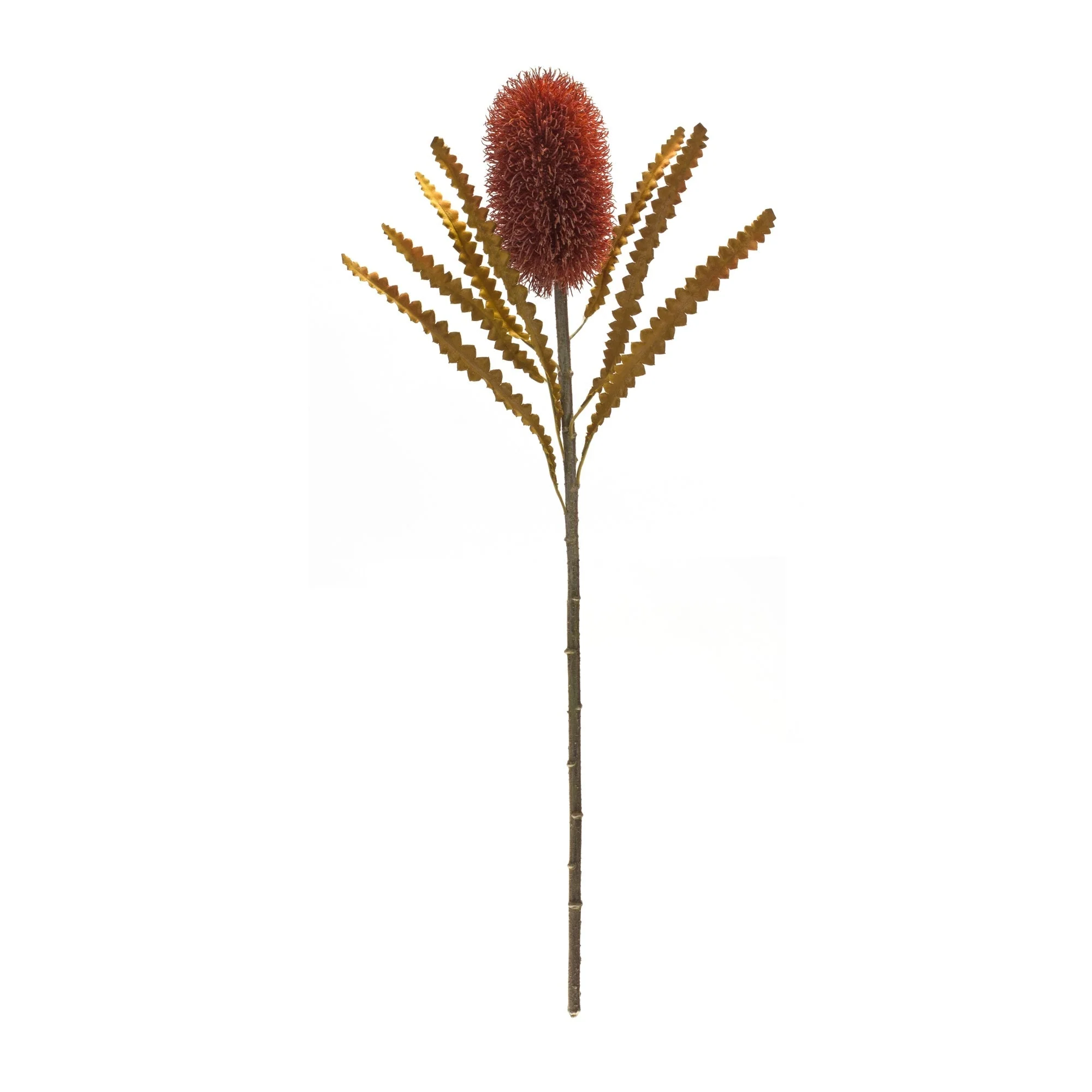 Burnt Orange Banksia Floral Stem (Set of 6) - Image 3