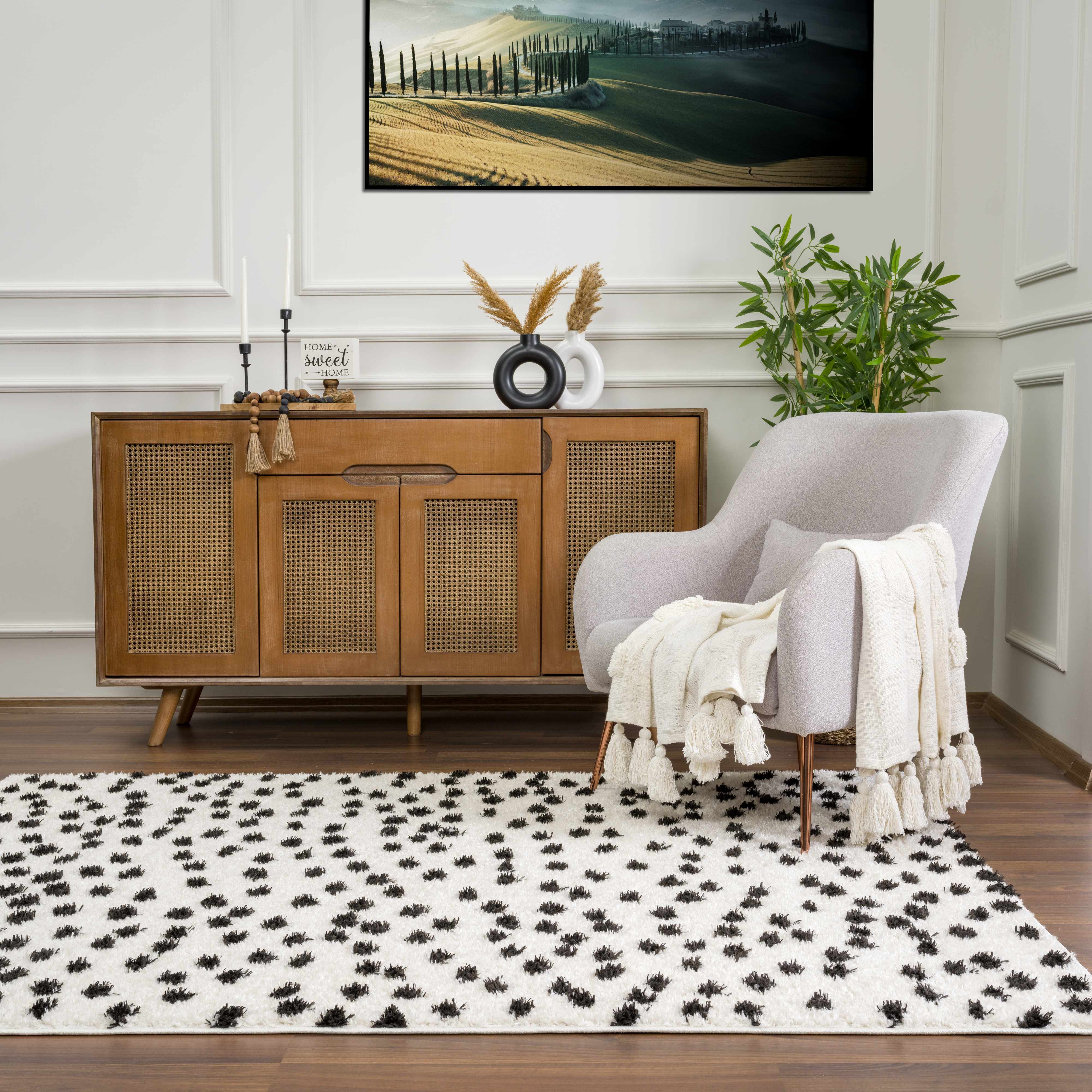 Cansu Black & White Dotted Area Rug - Image 8