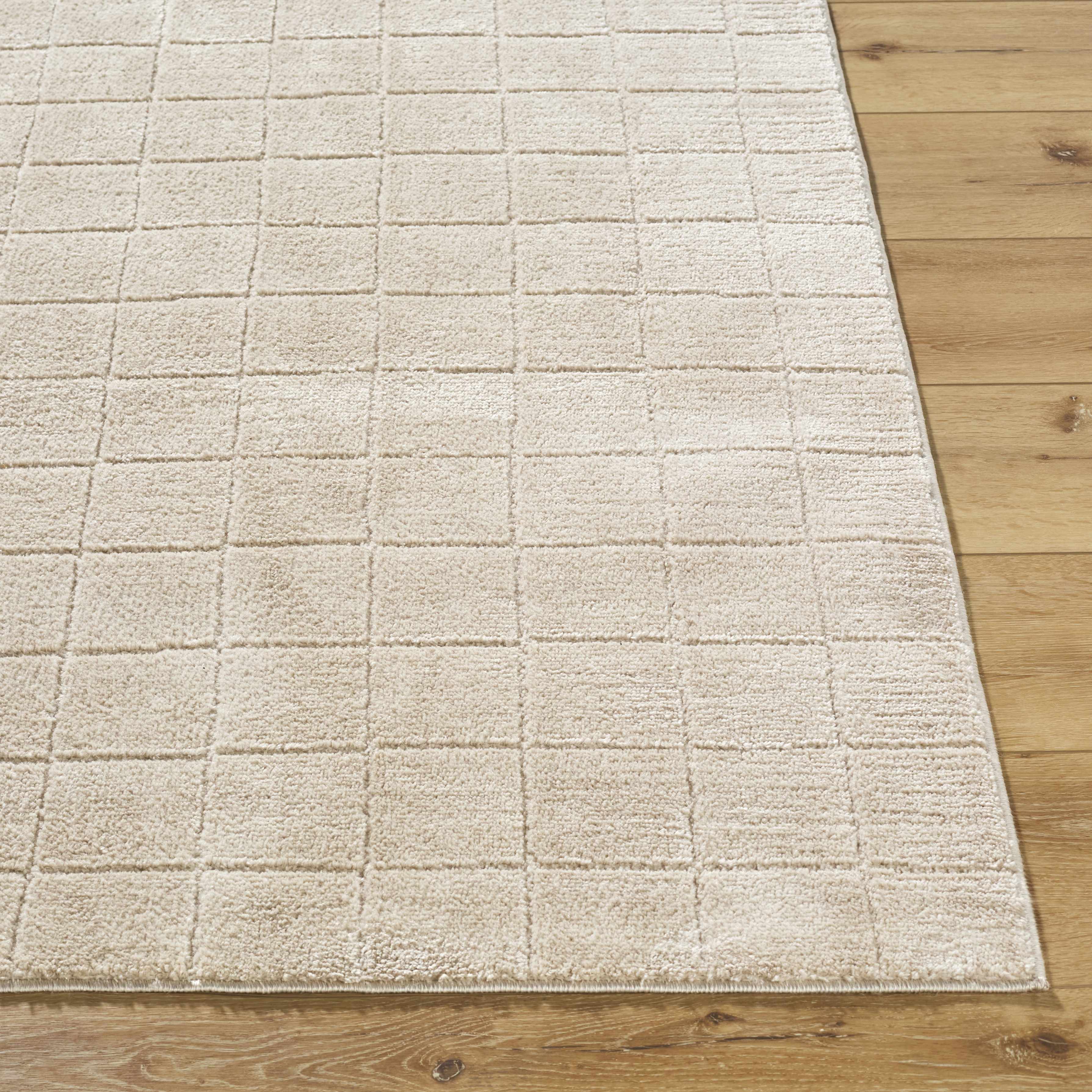 Cascade Checkered Beige Area Rug - Image 5