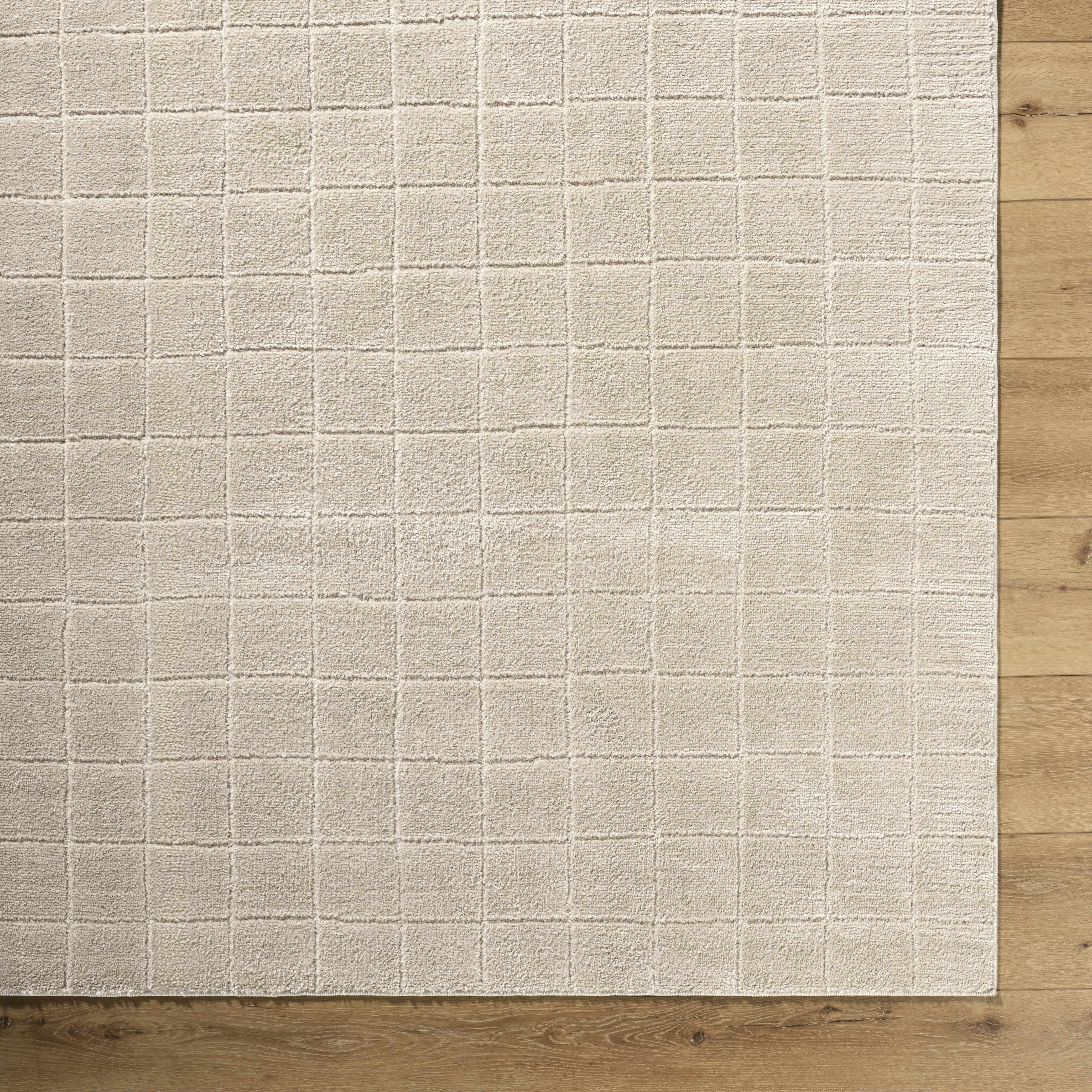 Cascade Checkered Beige Area Rug - Image 7