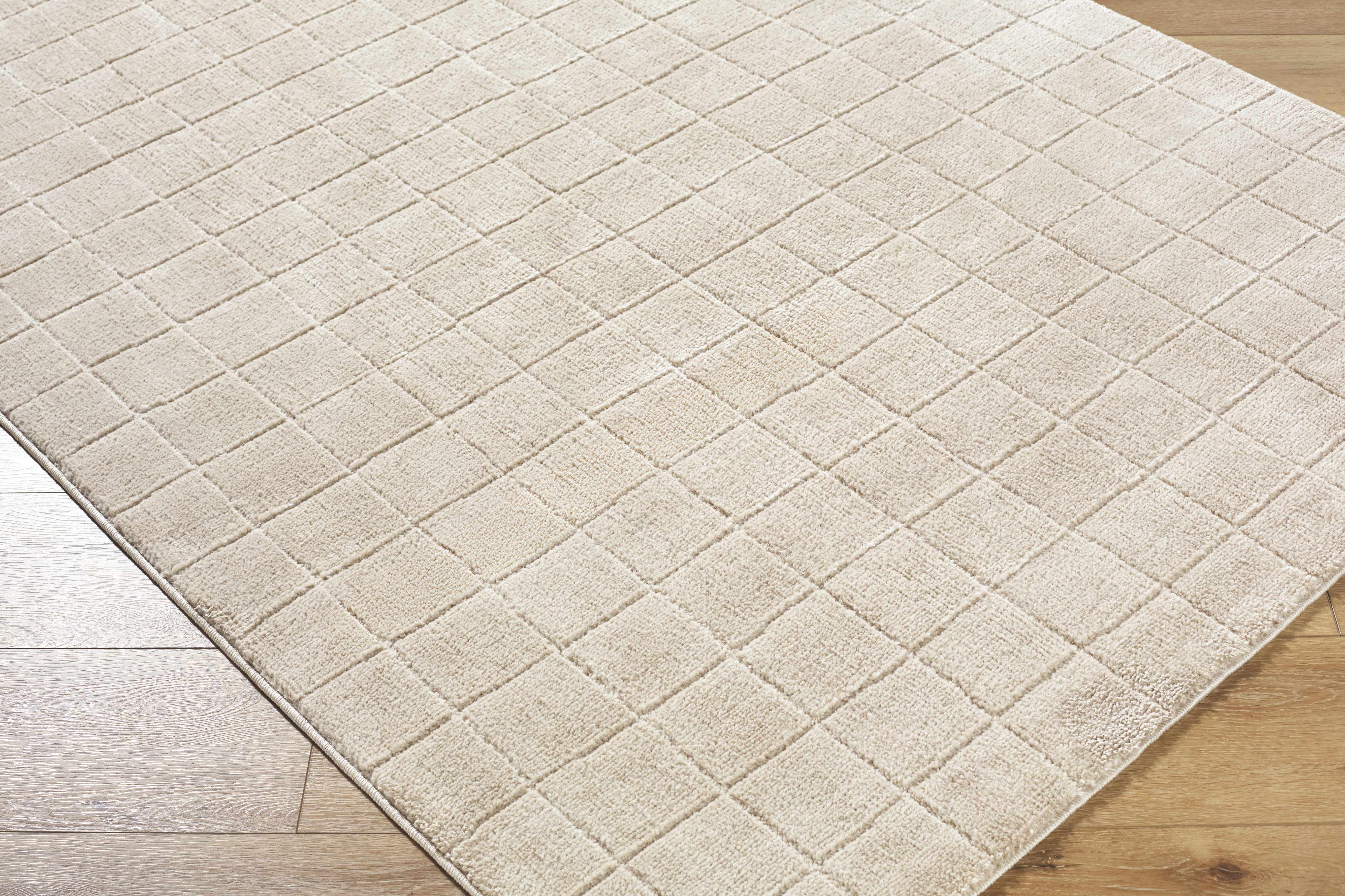 Cascade Checkered Beige Area Rug - Image 9