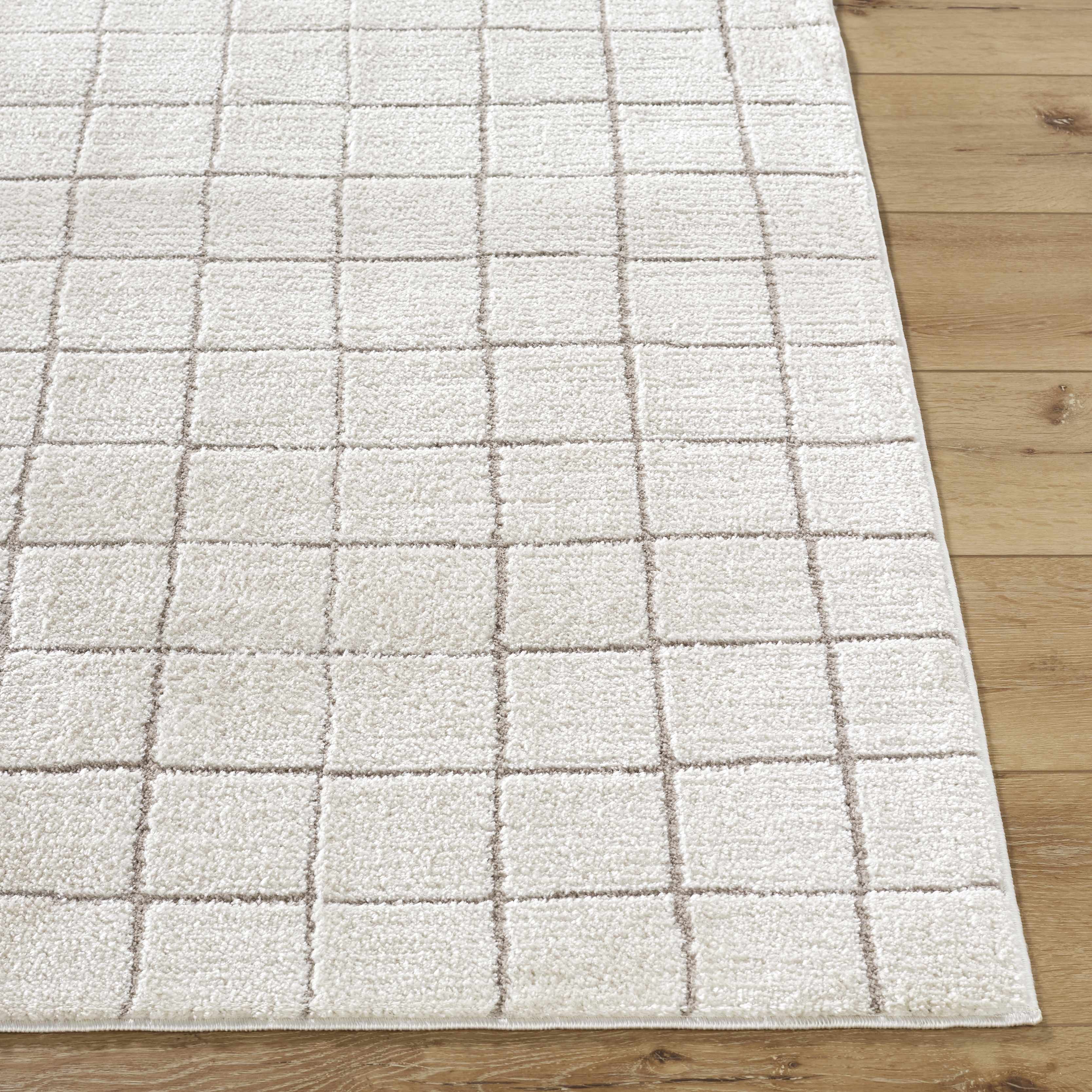 Cascade Checkered Ivory Area Rug - Image 5