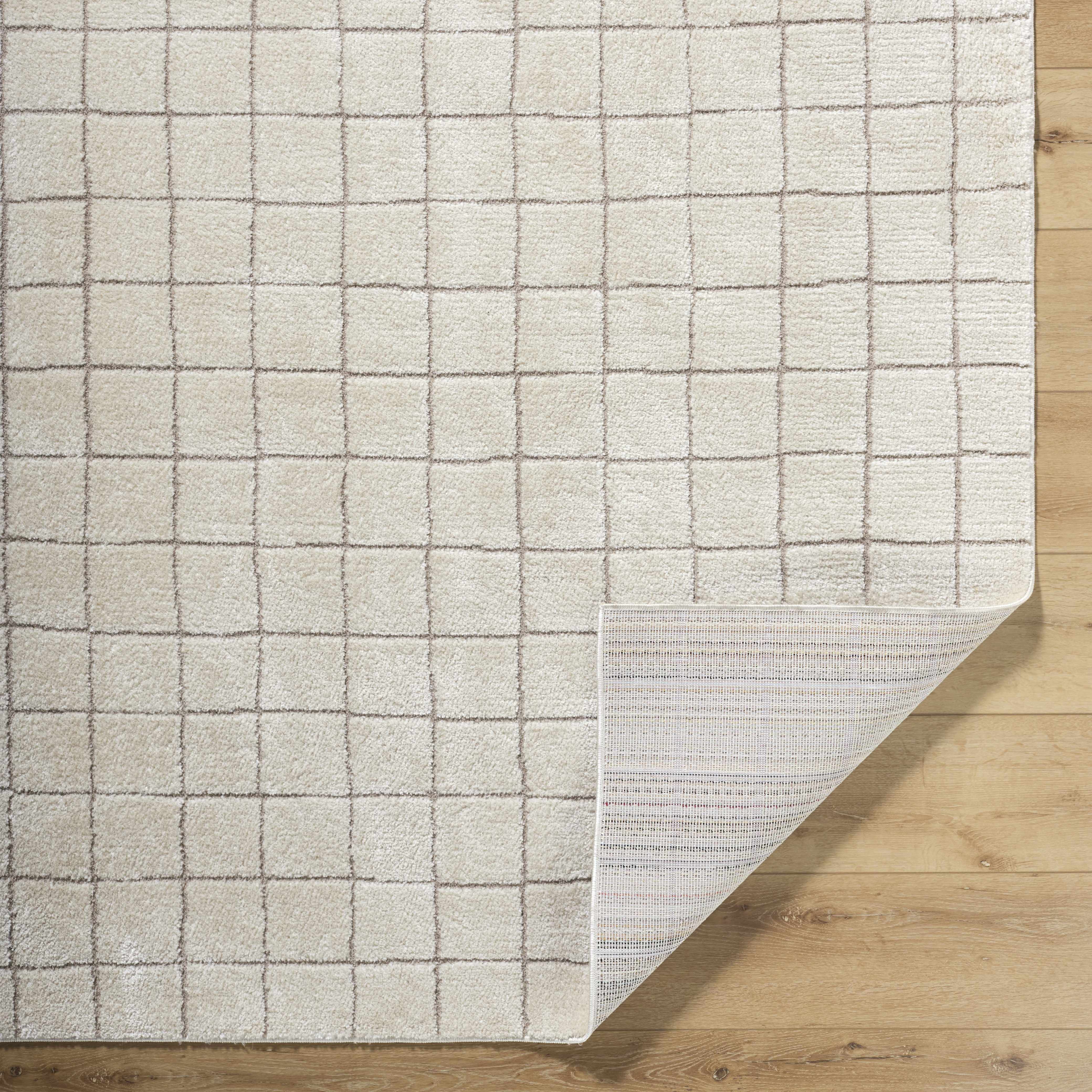Cascade Checkered Ivory Area Rug - Image 6