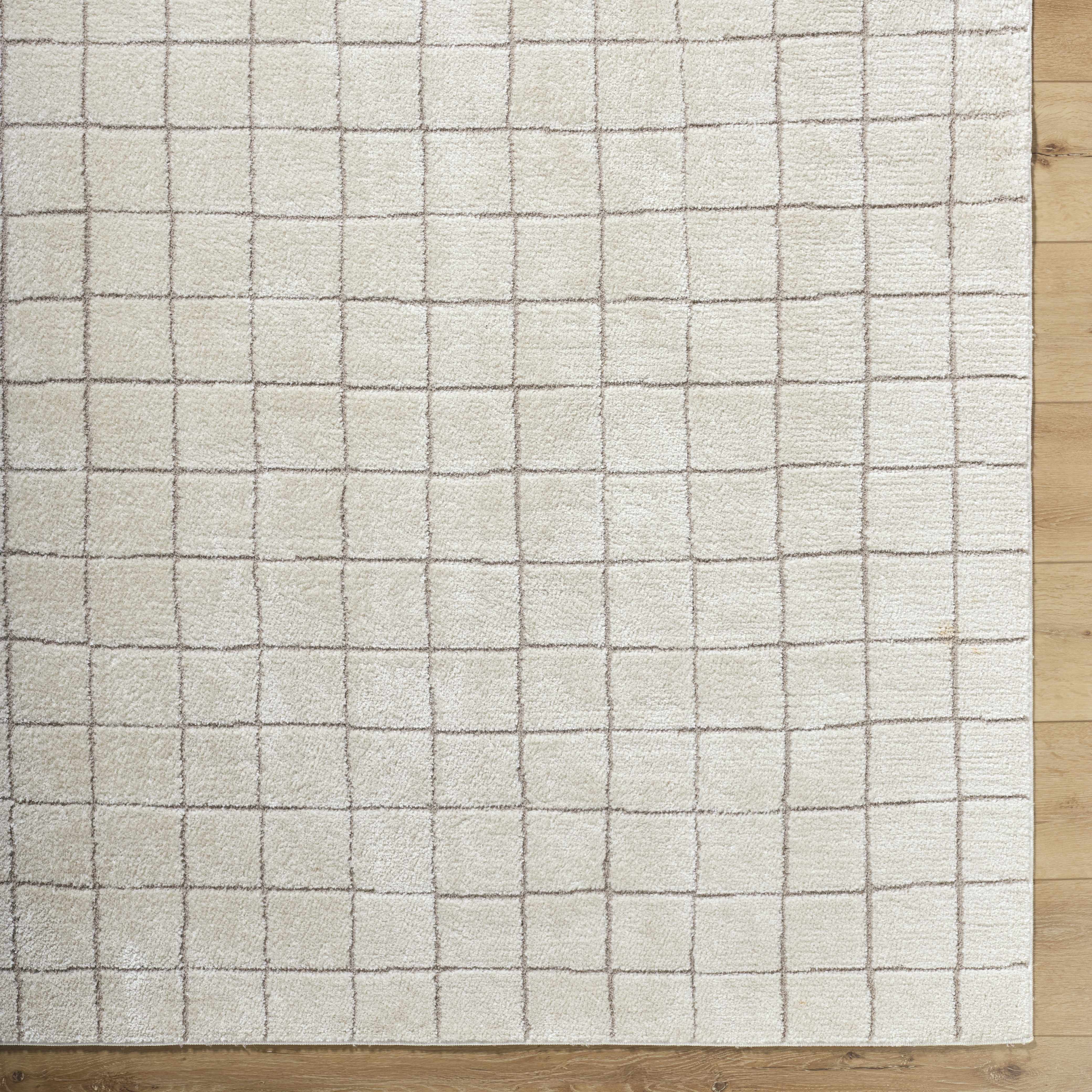 Cascade Checkered Ivory Area Rug - Image 7
