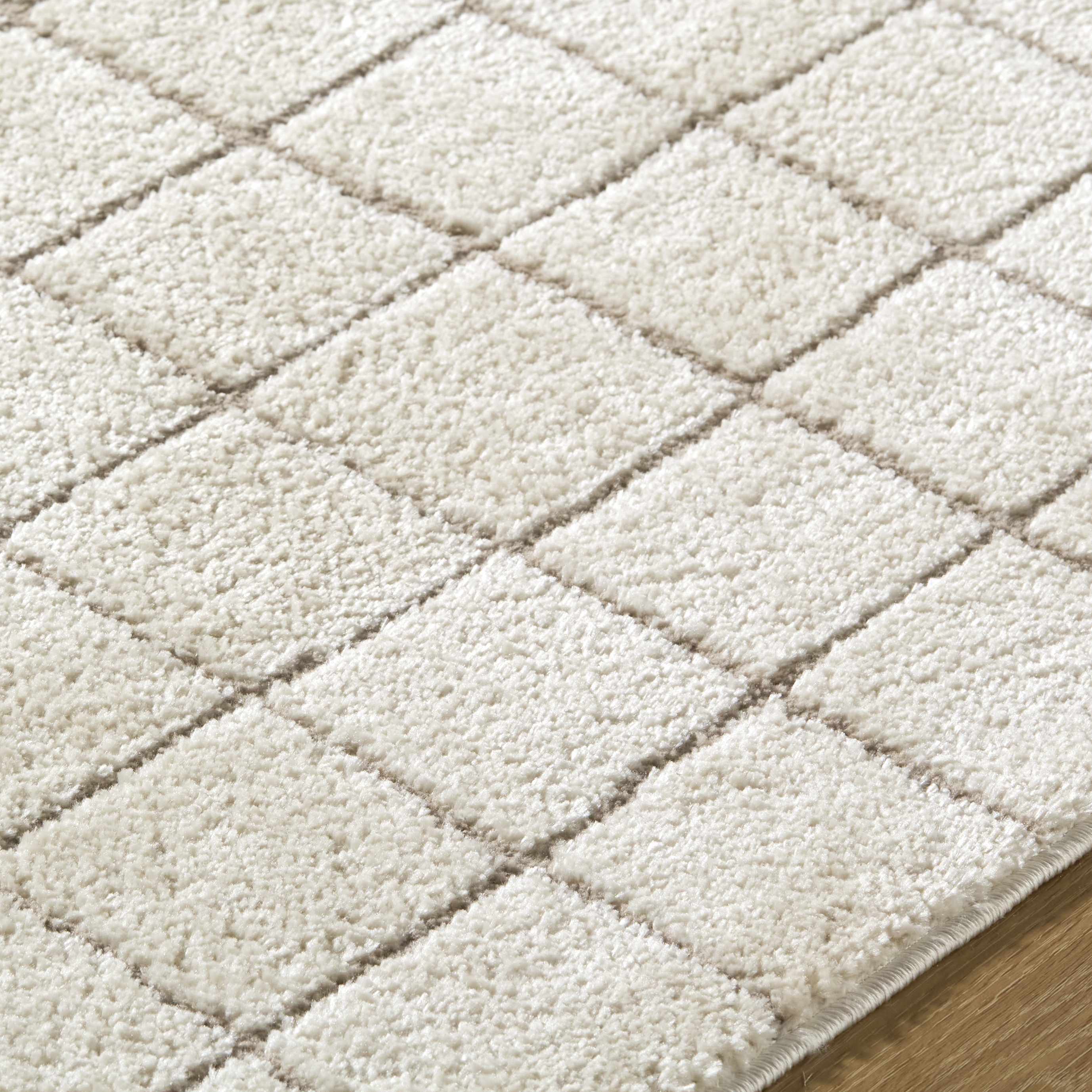 Cascade Checkered Ivory Area Rug - Image 8
