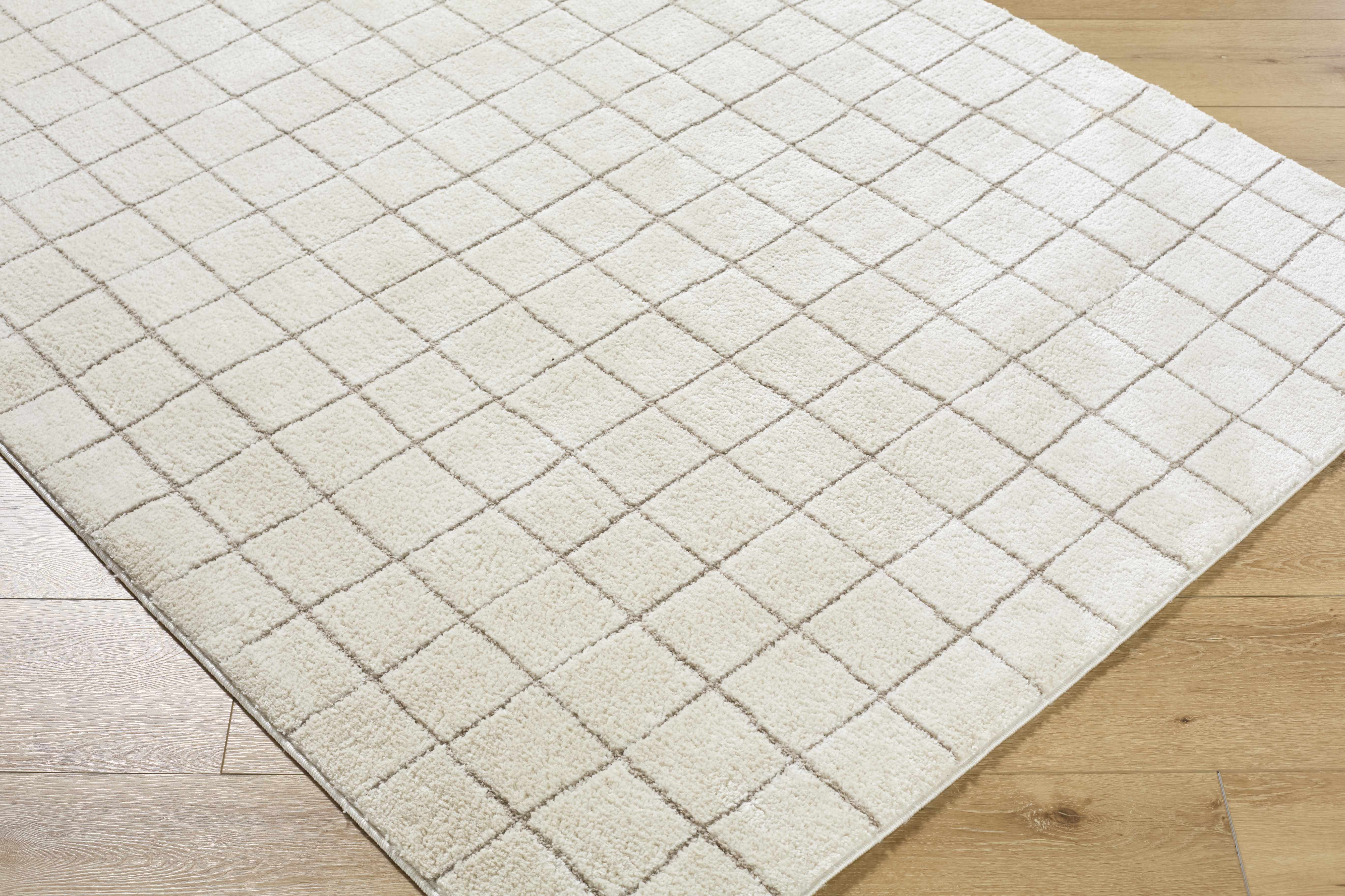 Cascade Checkered Ivory Area Rug - Image 9