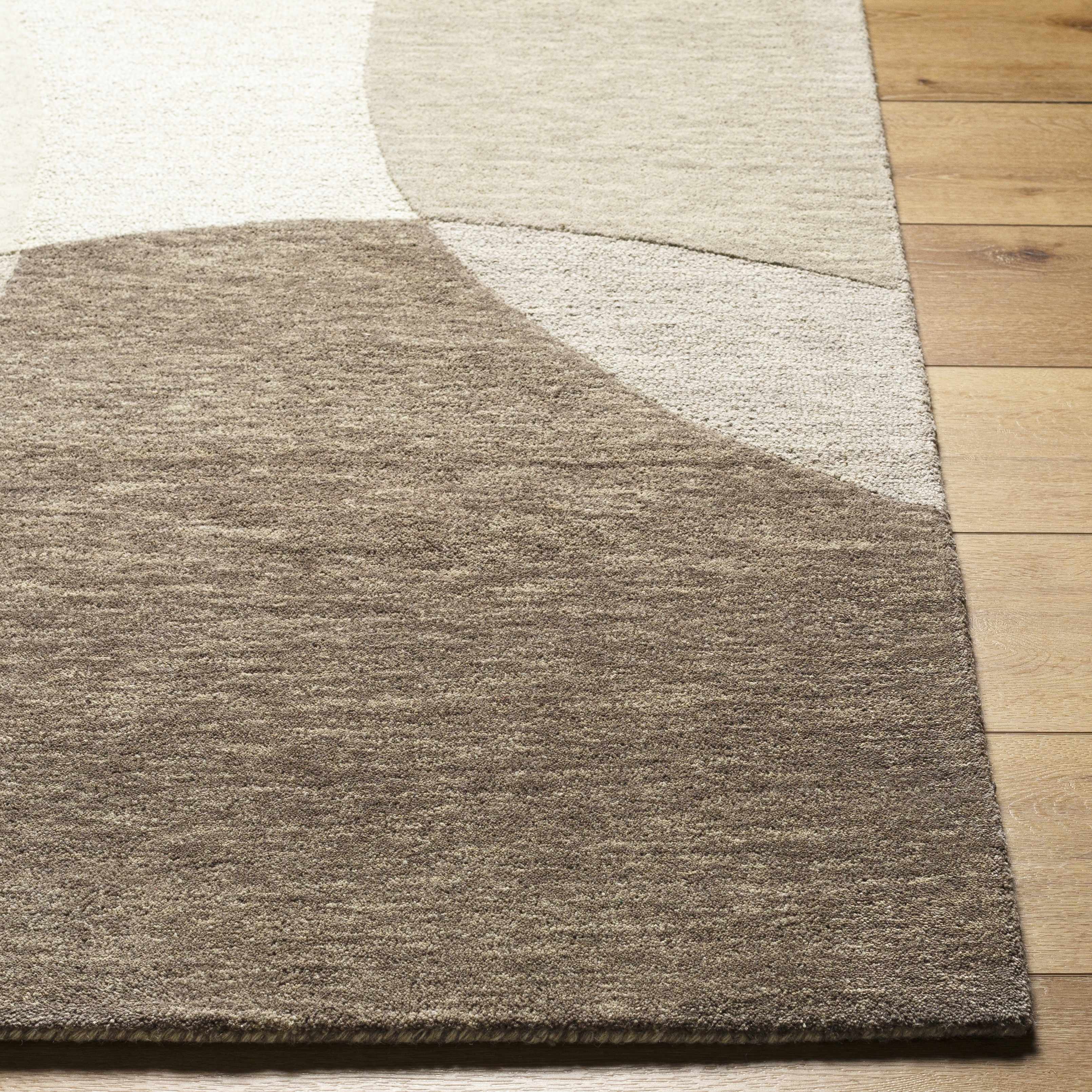 Cassiopeia Dark Brown & Beige Area Rug - Image 3