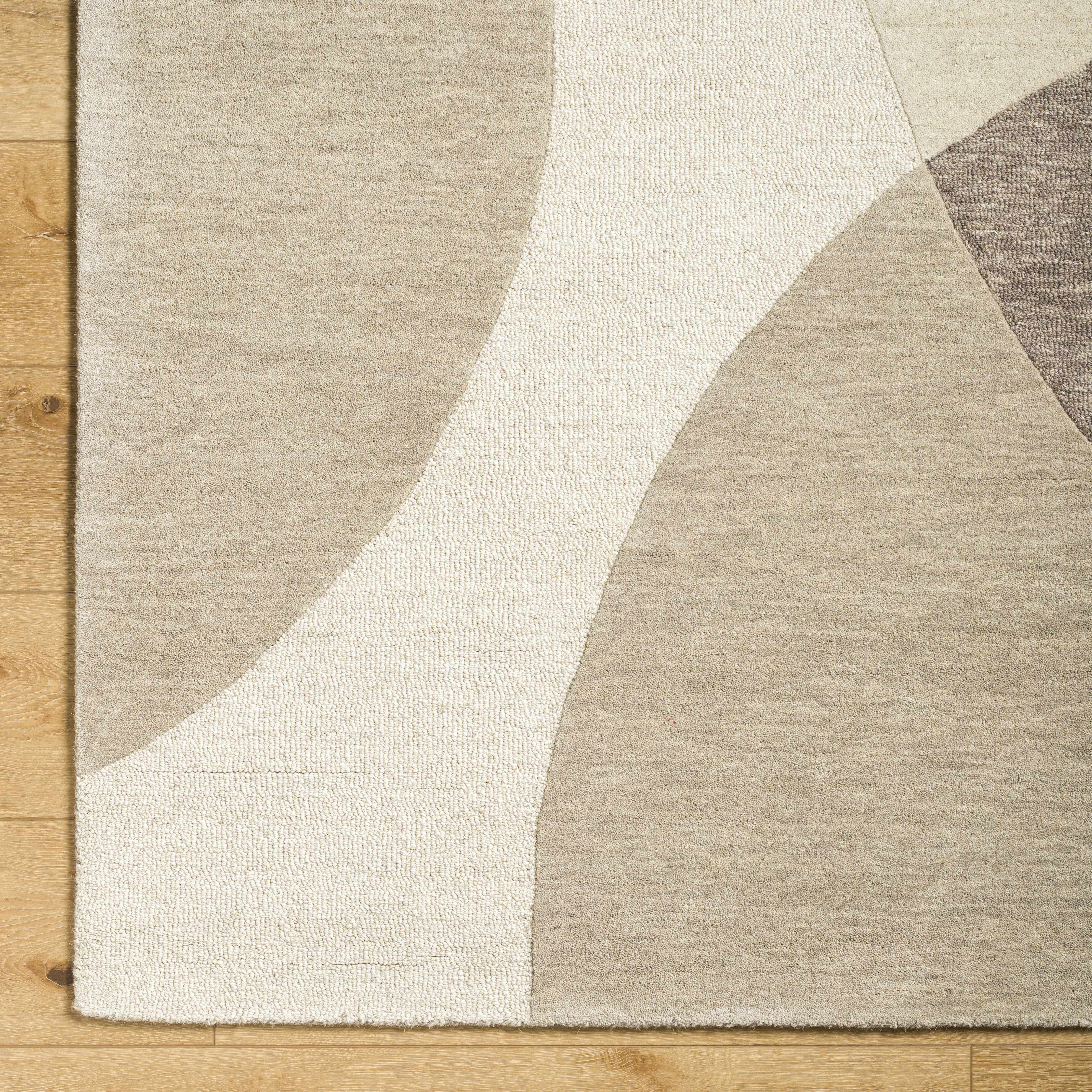 Cassiopeia Dark Brown & Beige Area Rug - Image 7