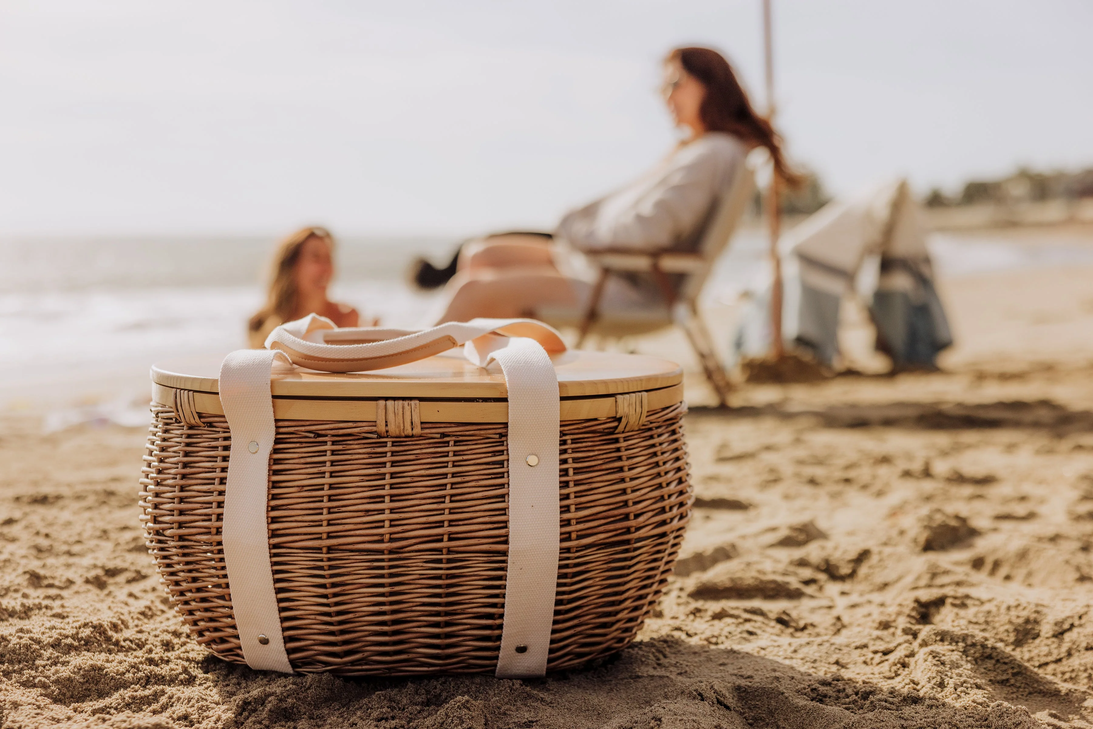 Castaway Insulated Cooler Picnic Basket - Image 4