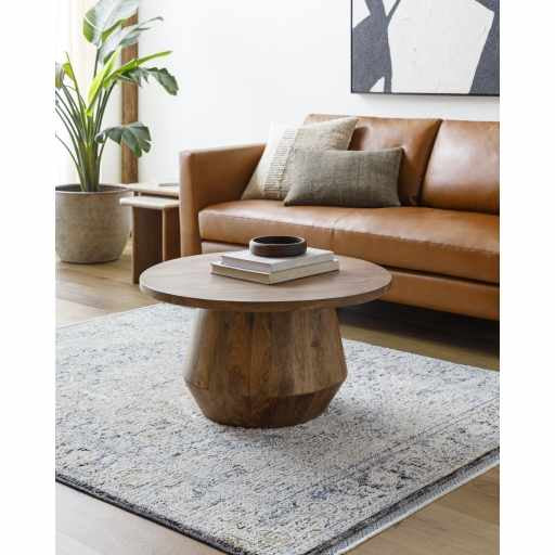 Charo Light Gray Area Rug - Image 2