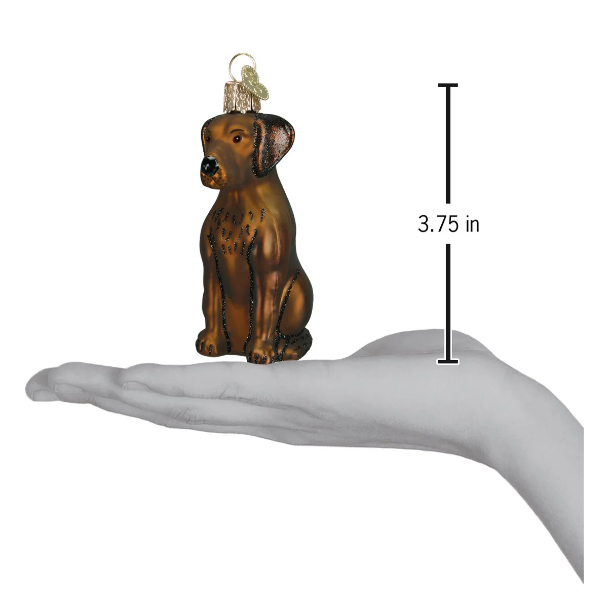 Chocolate Labrador Ornament - Image 6