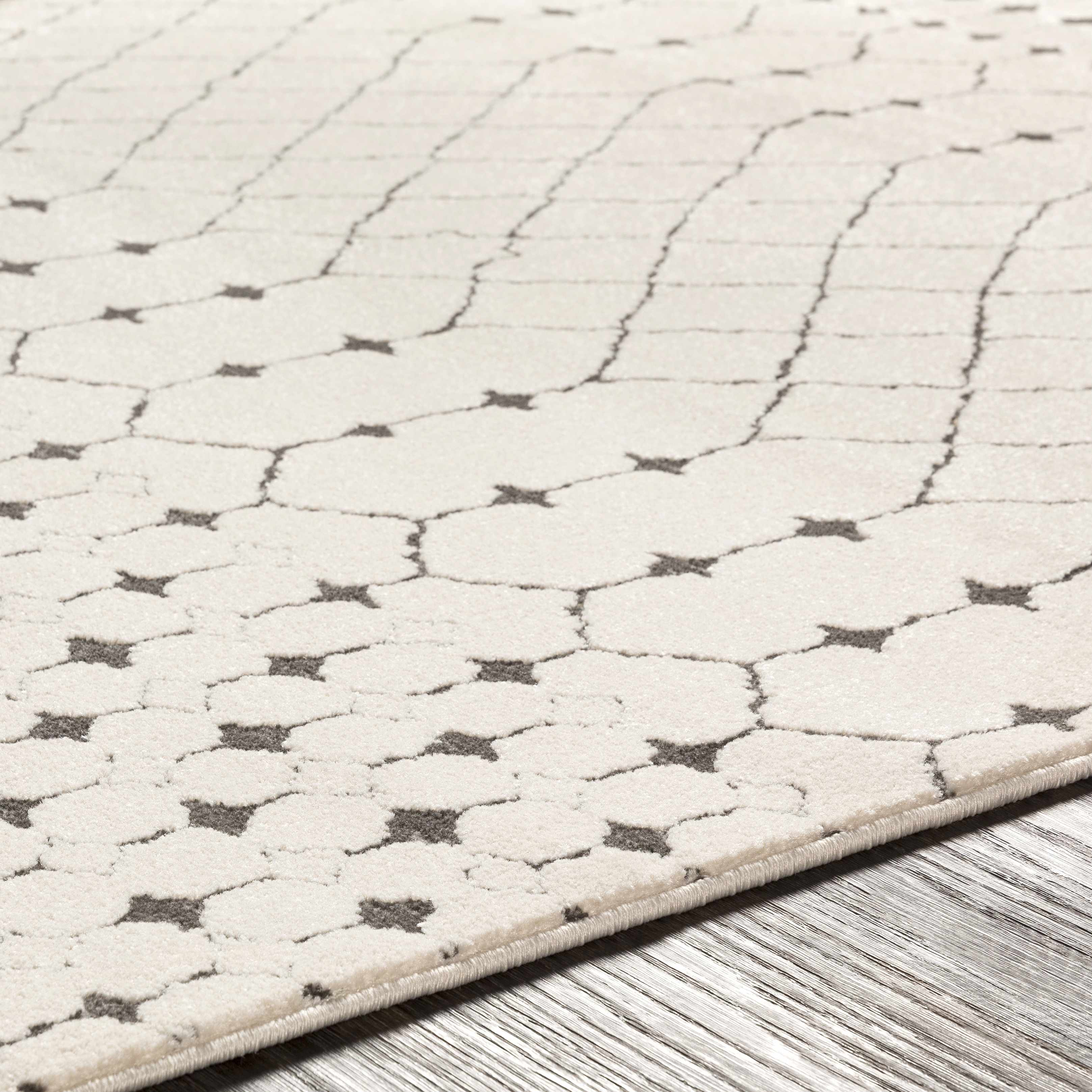 Chubbuck Moroccan Trellis Rug - Clearance - Image 14