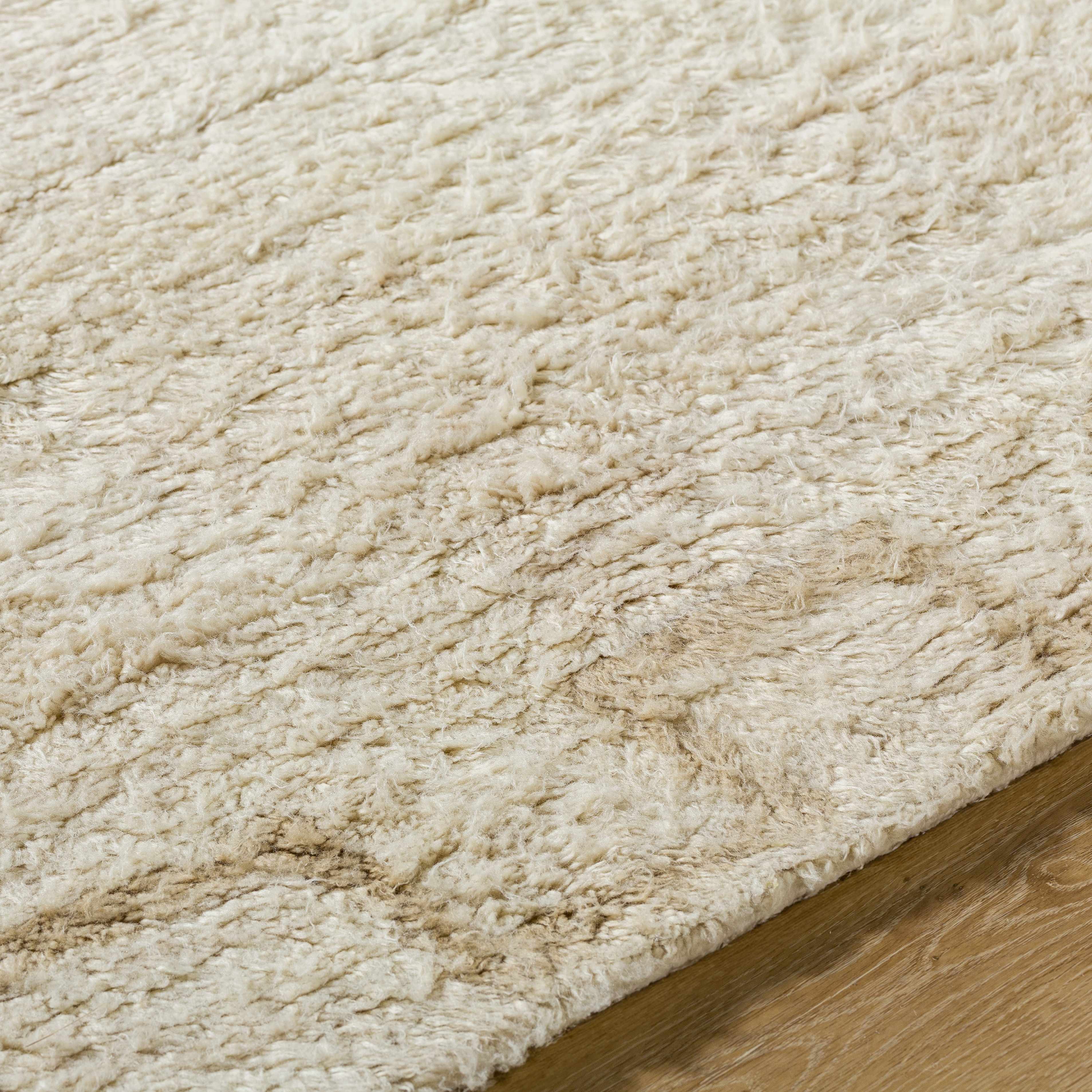 Ciniod Area Rug - Image 6