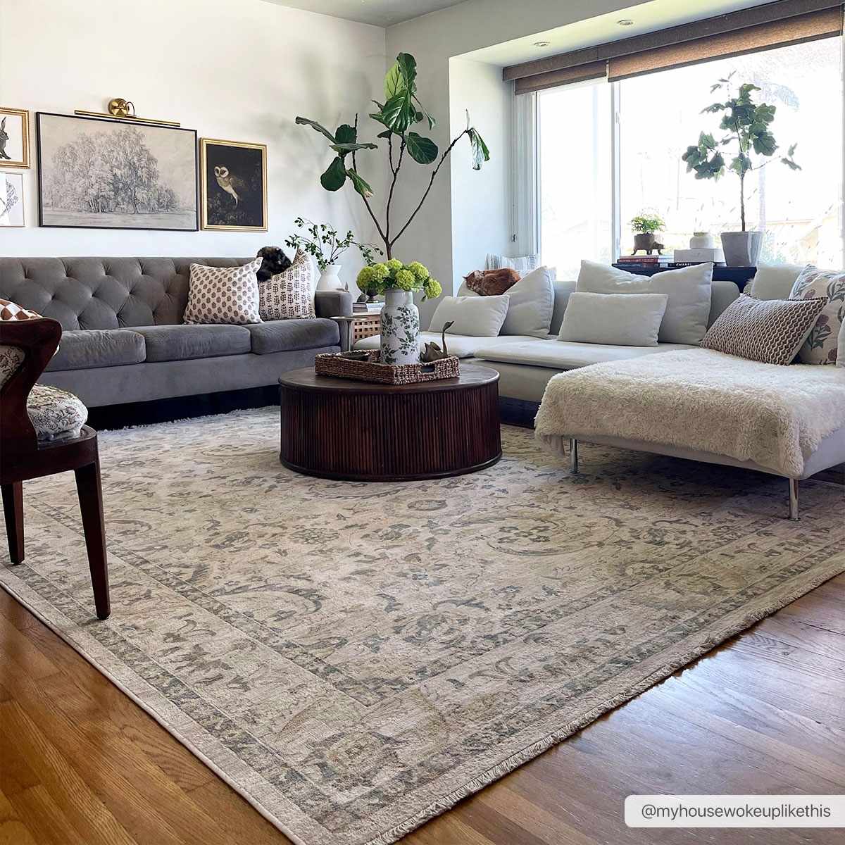 Clee Area Rug - Clearance - Image 2