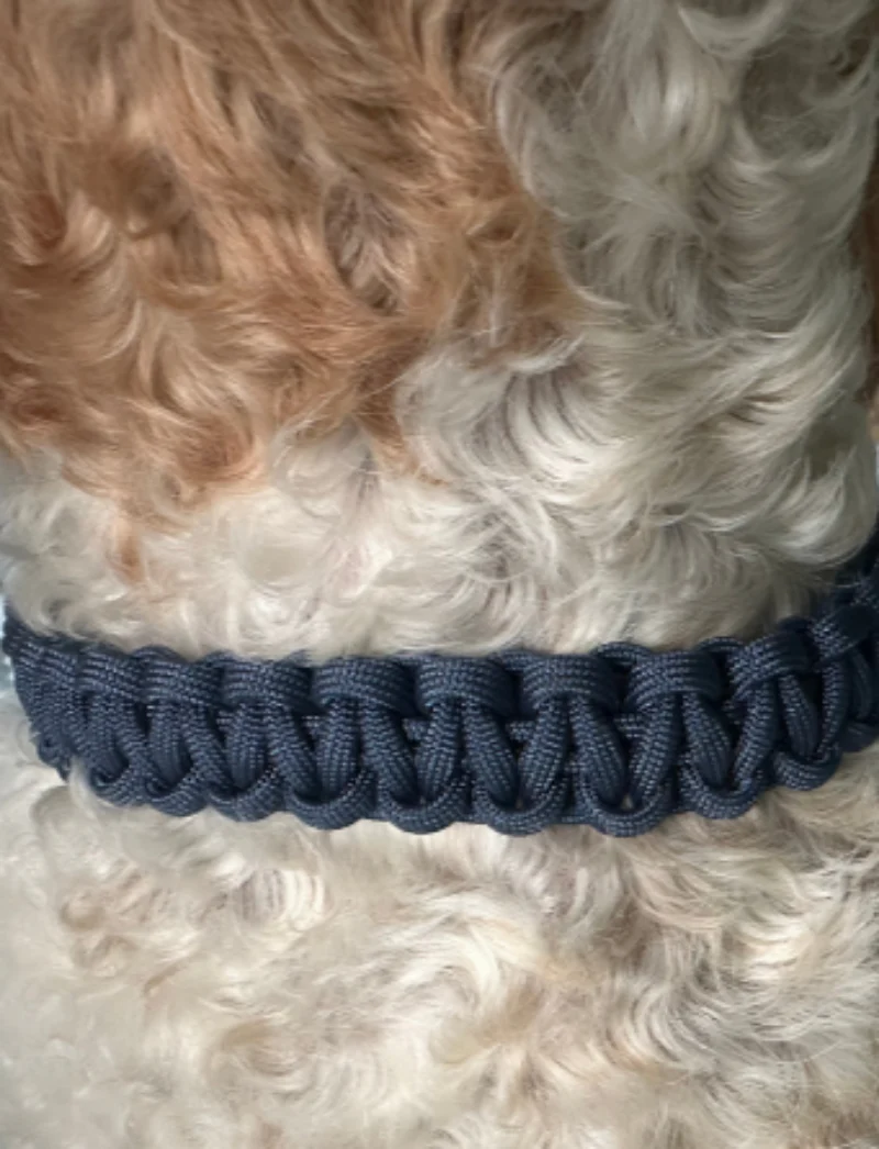 Cobra Braid in Navy Blue - Handmade Dog Collar - Image 2