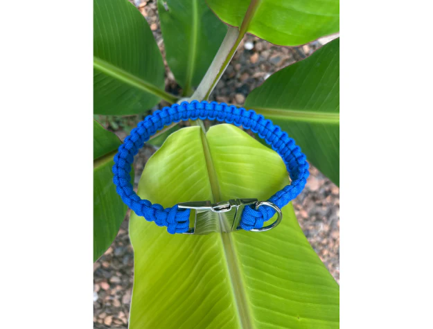 Cobra Braid in Royal Blue - Handmade Dog Collar - Image 5