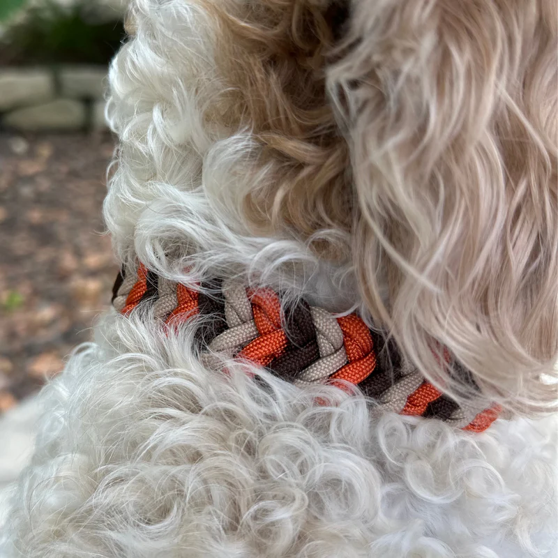 Coiled Charm Hand Braided Dog Collar in Burnt Orange, Walnut Brown, & Light Tan - Image 12