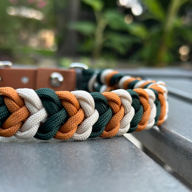 Coiled Charm Hand Braided Dog Collar in Hunter Green, Mustard, & Cream - Image 4