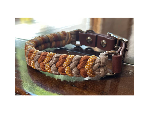 Coiled Charm Hand Braided Dog Collar in Mustard, Goldenrod, & Light Tan - Image 2