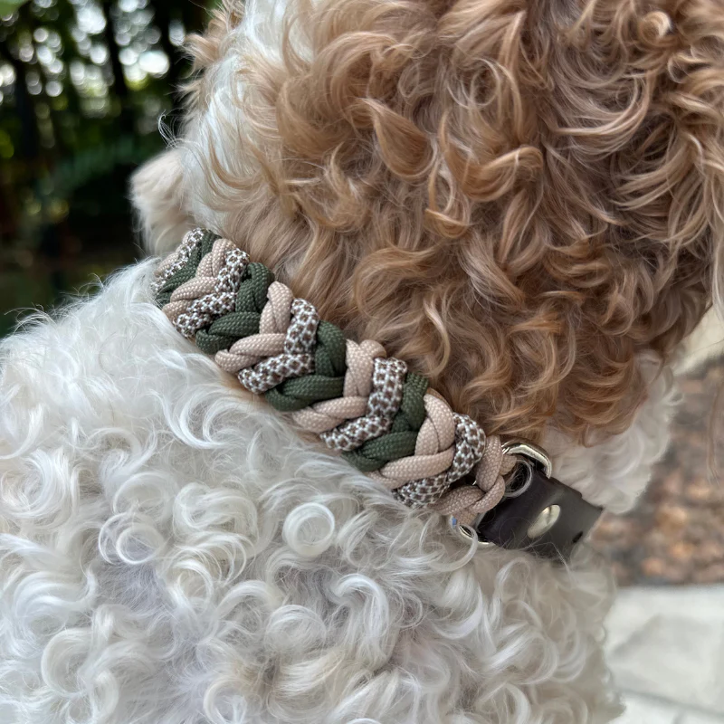 Coiled Charm Hand Braided Dog Collar in Olive, Light Tan, & Coyote Brown Diamonds - Image 11