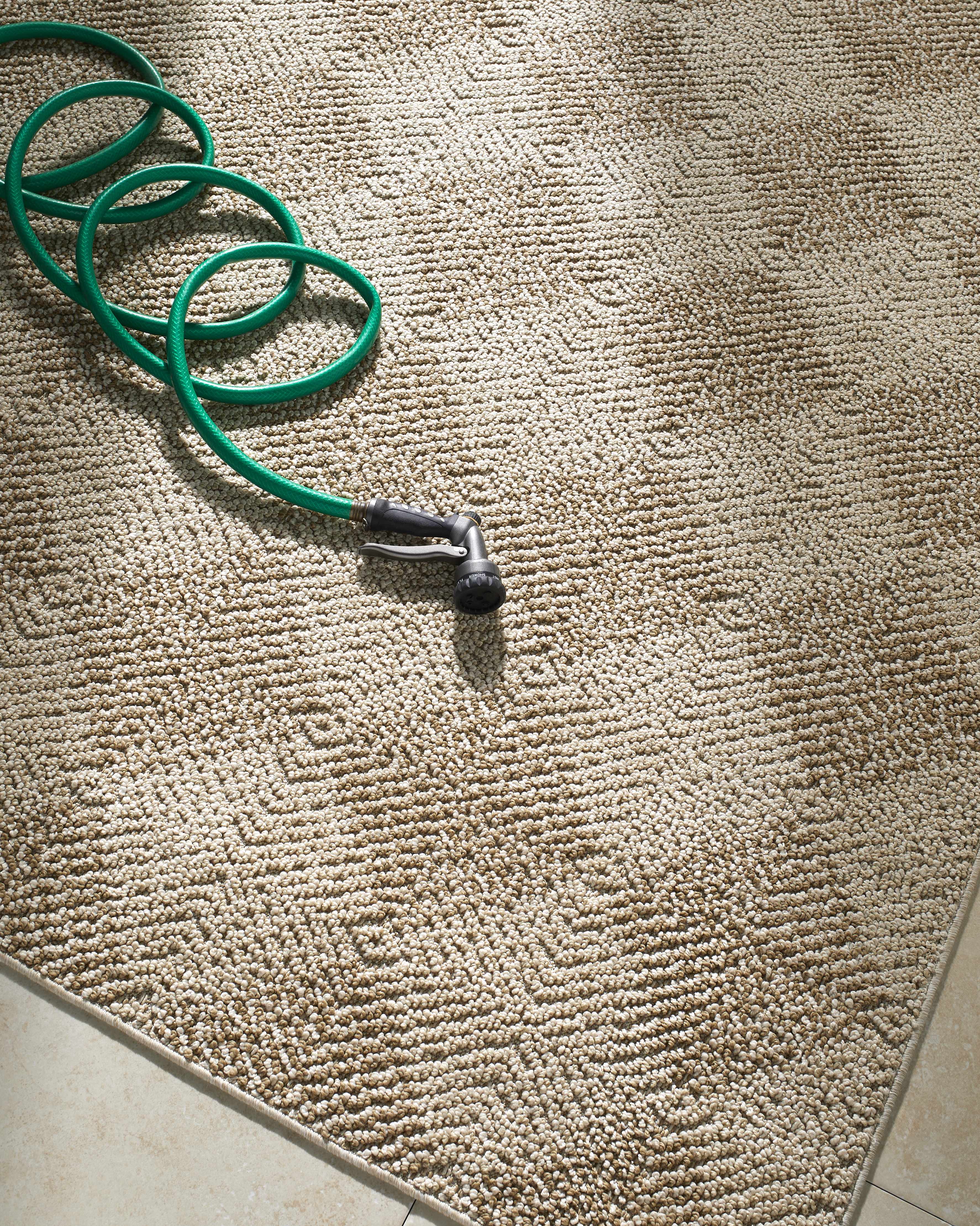 Collen Area Rug - Image 2