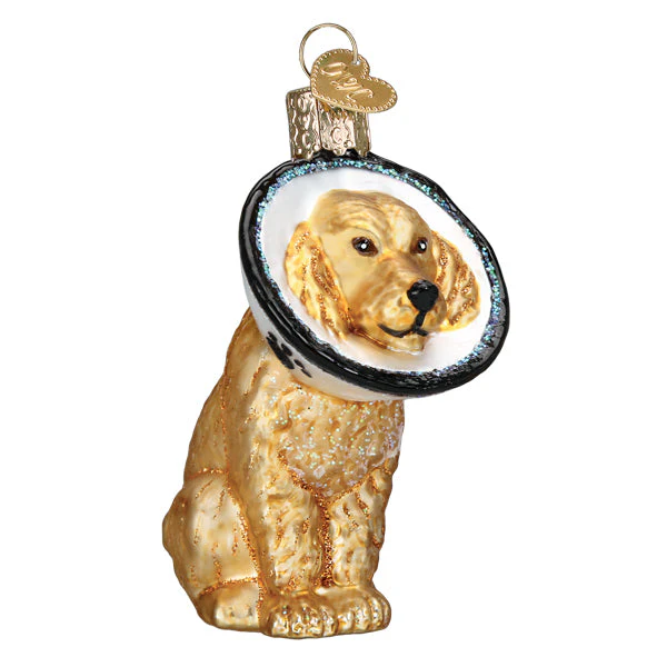 Cone Of Shame Dog Ornament - Image 3