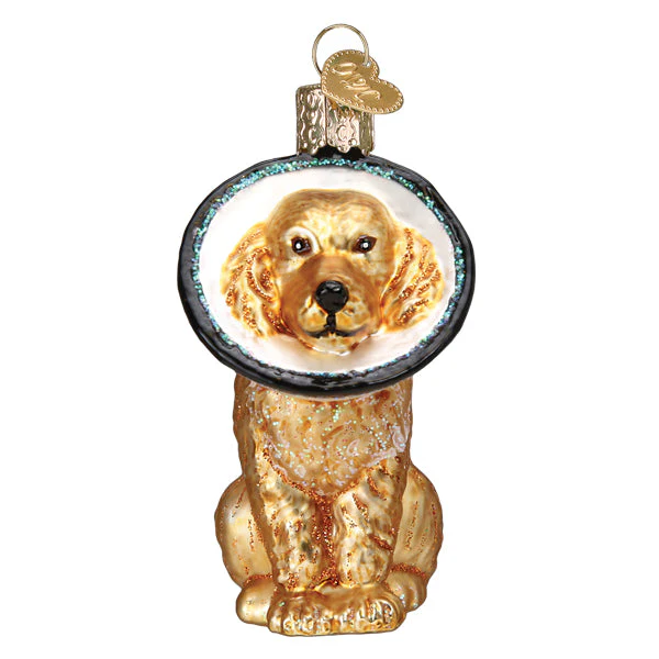 Cone Of Shame Dog Ornament - Image 4