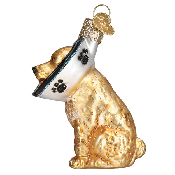 Cone Of Shame Dog Ornament - Image 5