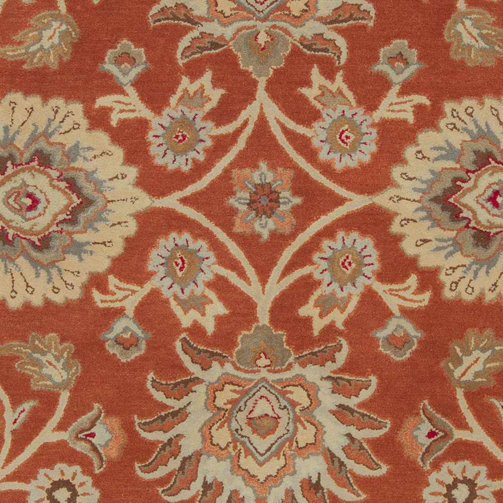 Conesus Hand Tufted Rust 1062 Area Rug - Clearance - Image 4