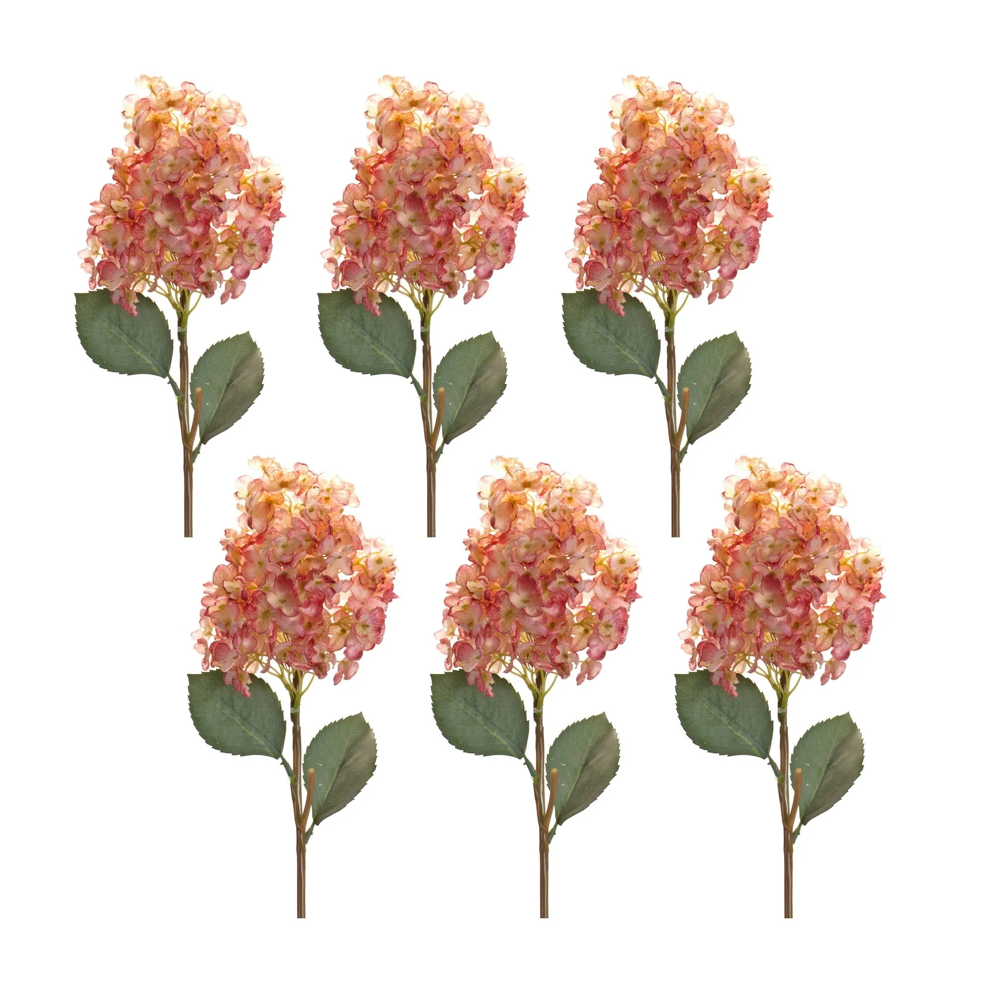 Coral pink cone hydrangea flower stem (set of 6)
