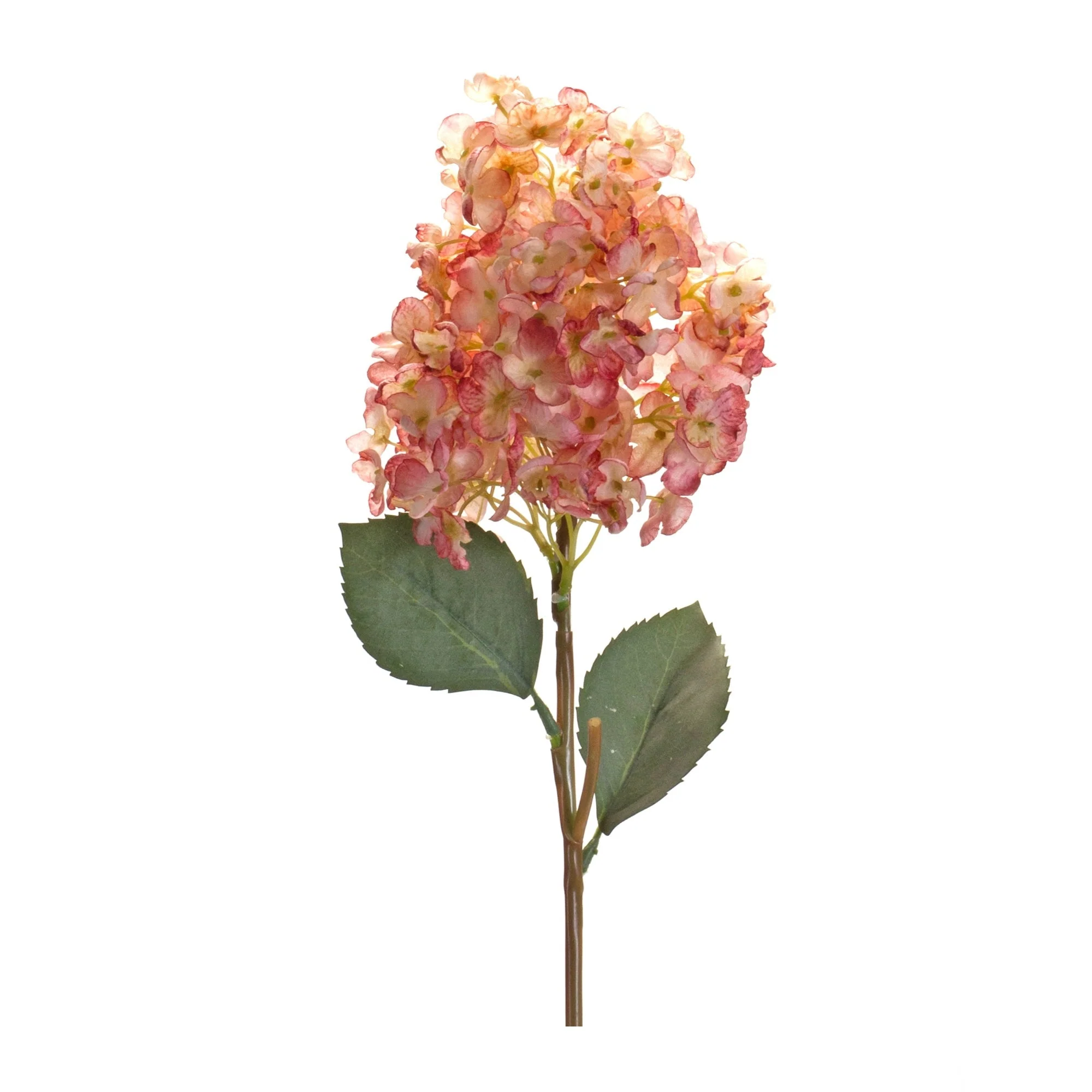 Coral pink cone hydrangea flower stem (set of 6) - Image 2
