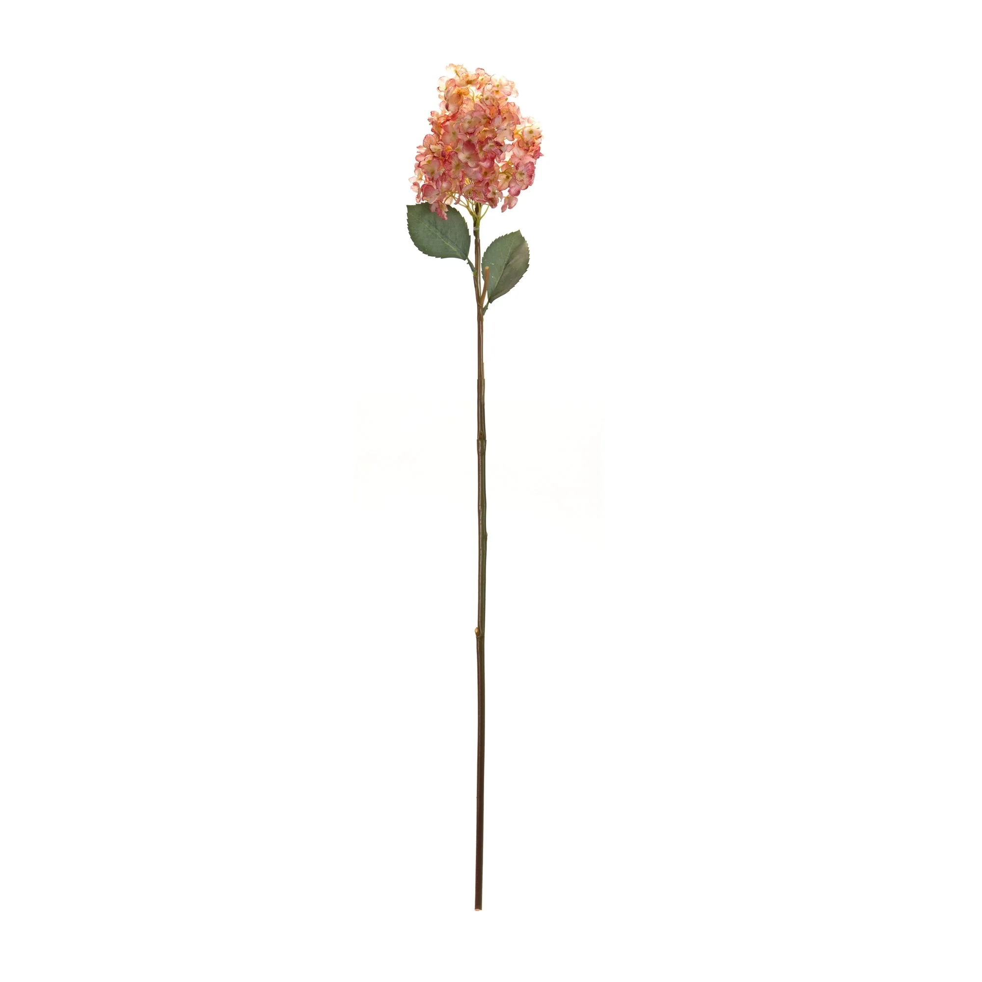 Coral pink cone hydrangea flower stem (set of 6) - Image 3