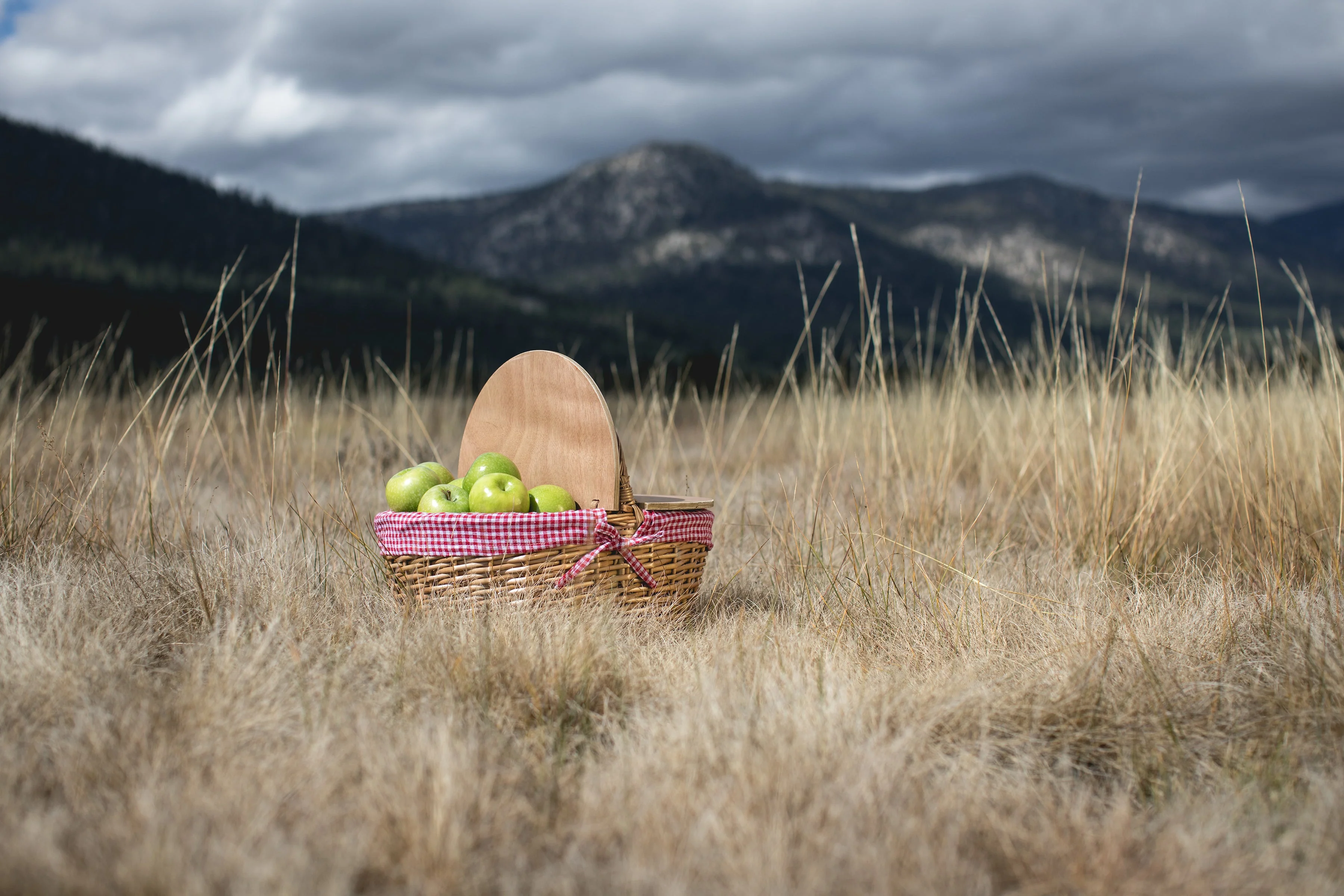 Country Picnic Basket - Image 10