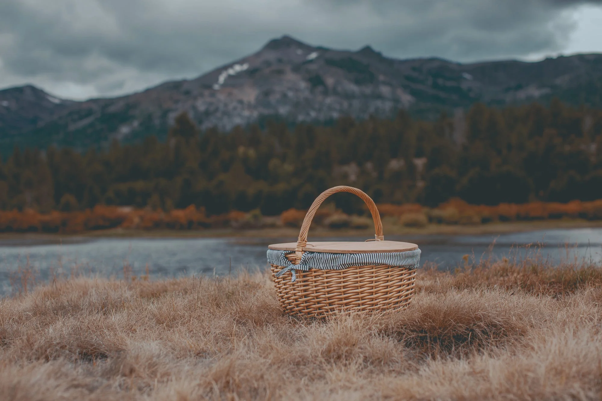 Country Picnic Basket - Image 31