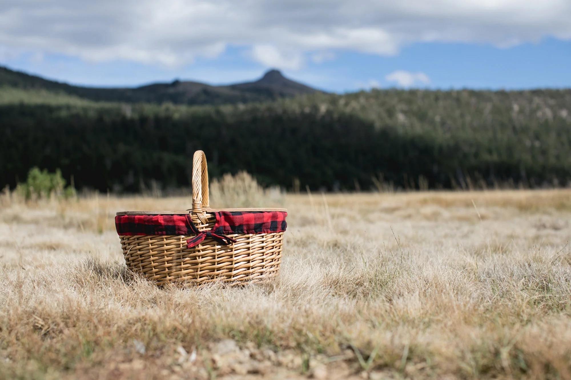 Country Picnic Basket - Image 48