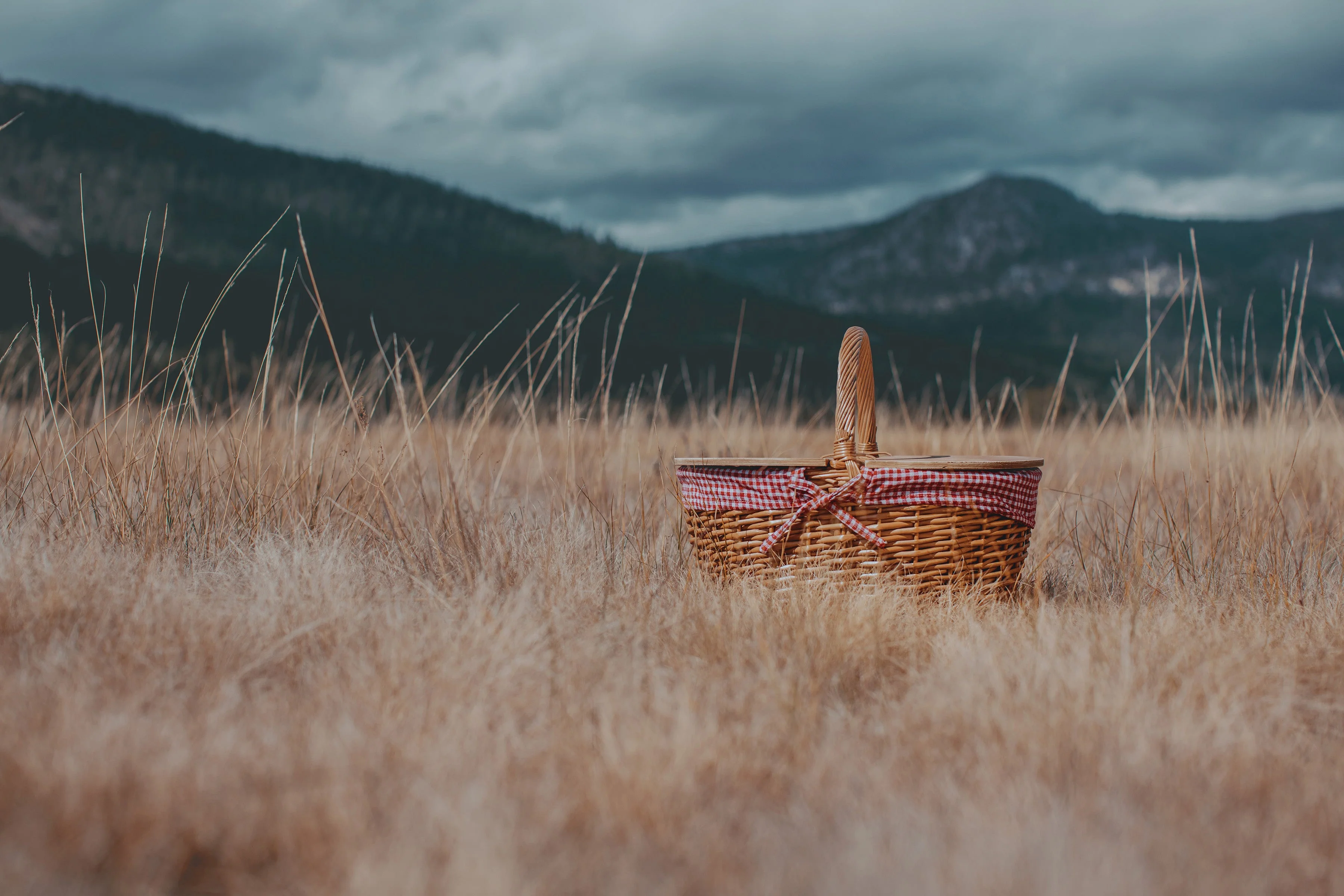 Country Picnic Basket - Image 9
