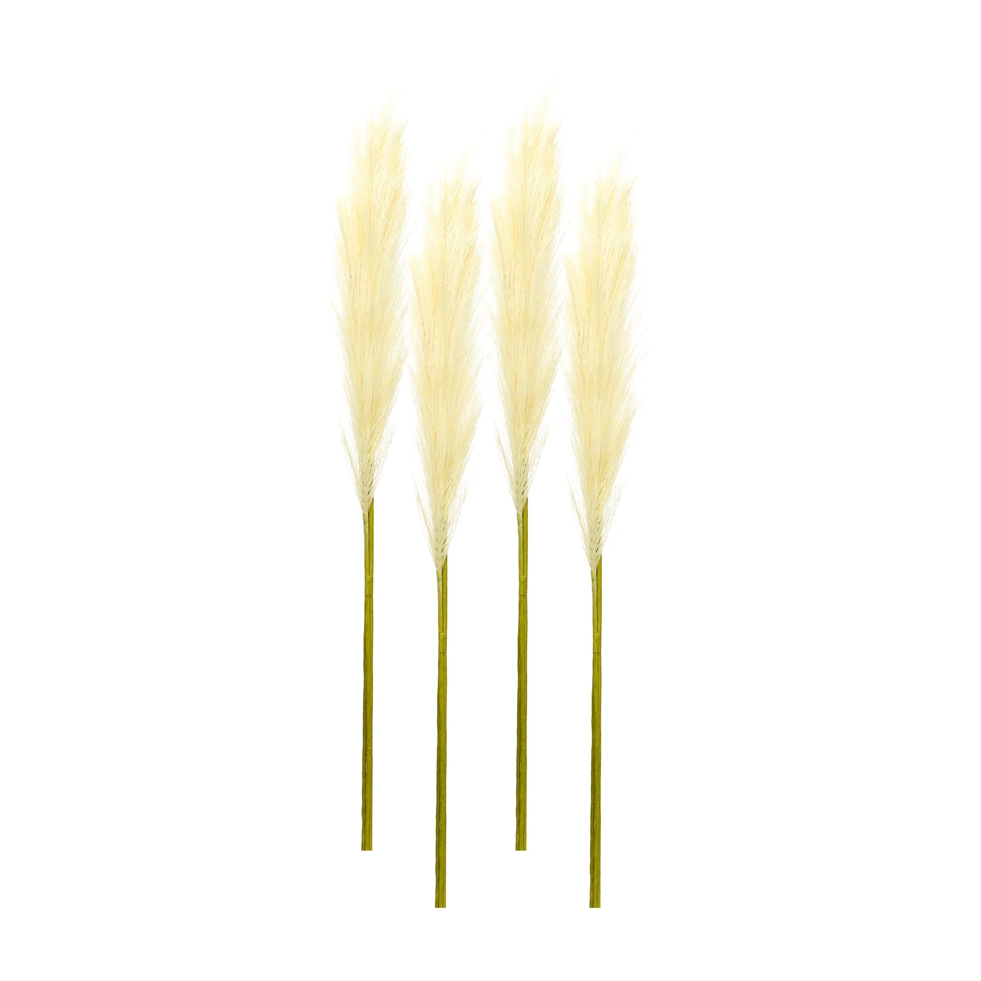 Cream Pampas Gass Stem (Set of 4)
