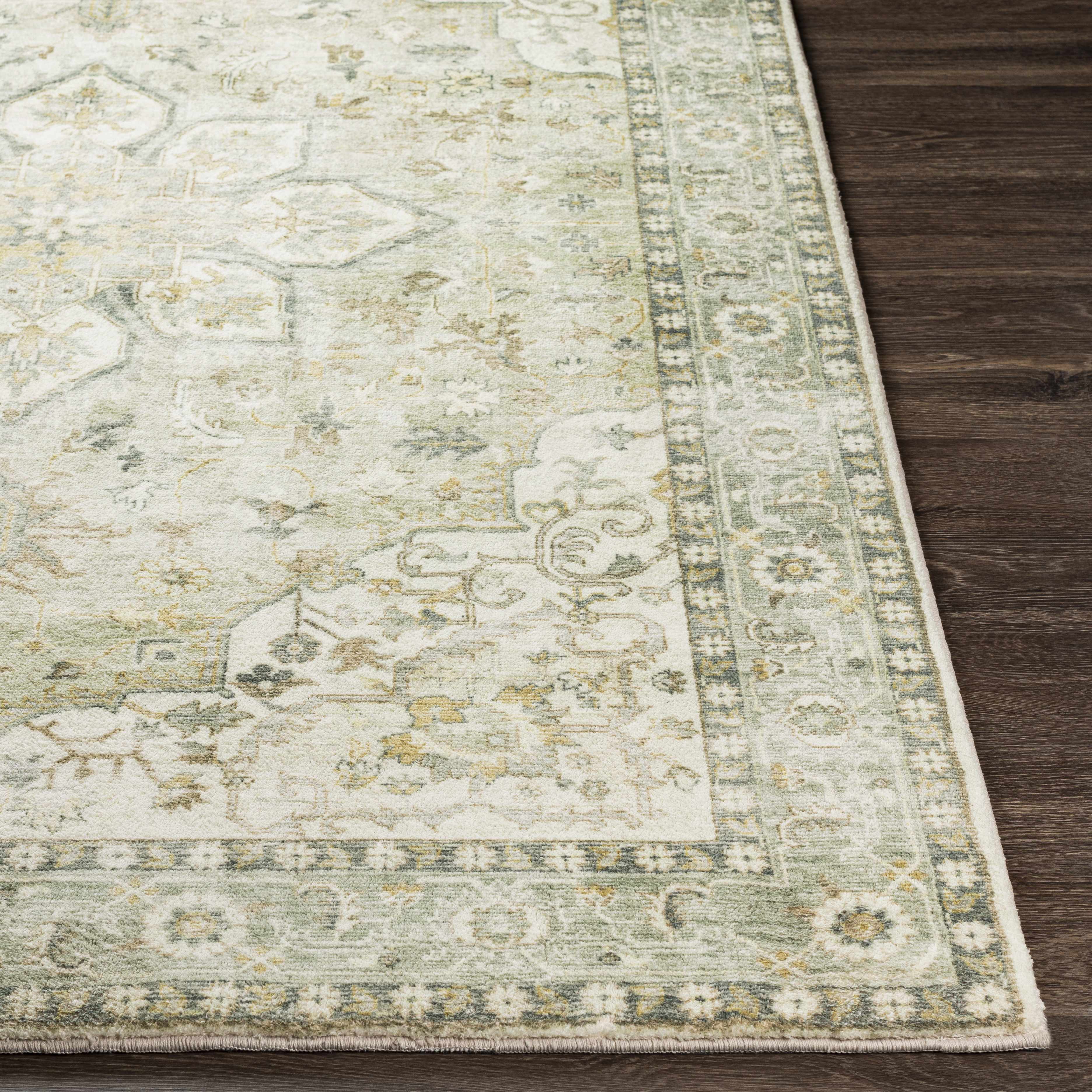 Crondall Sage Traditional Area Rug - Image 5