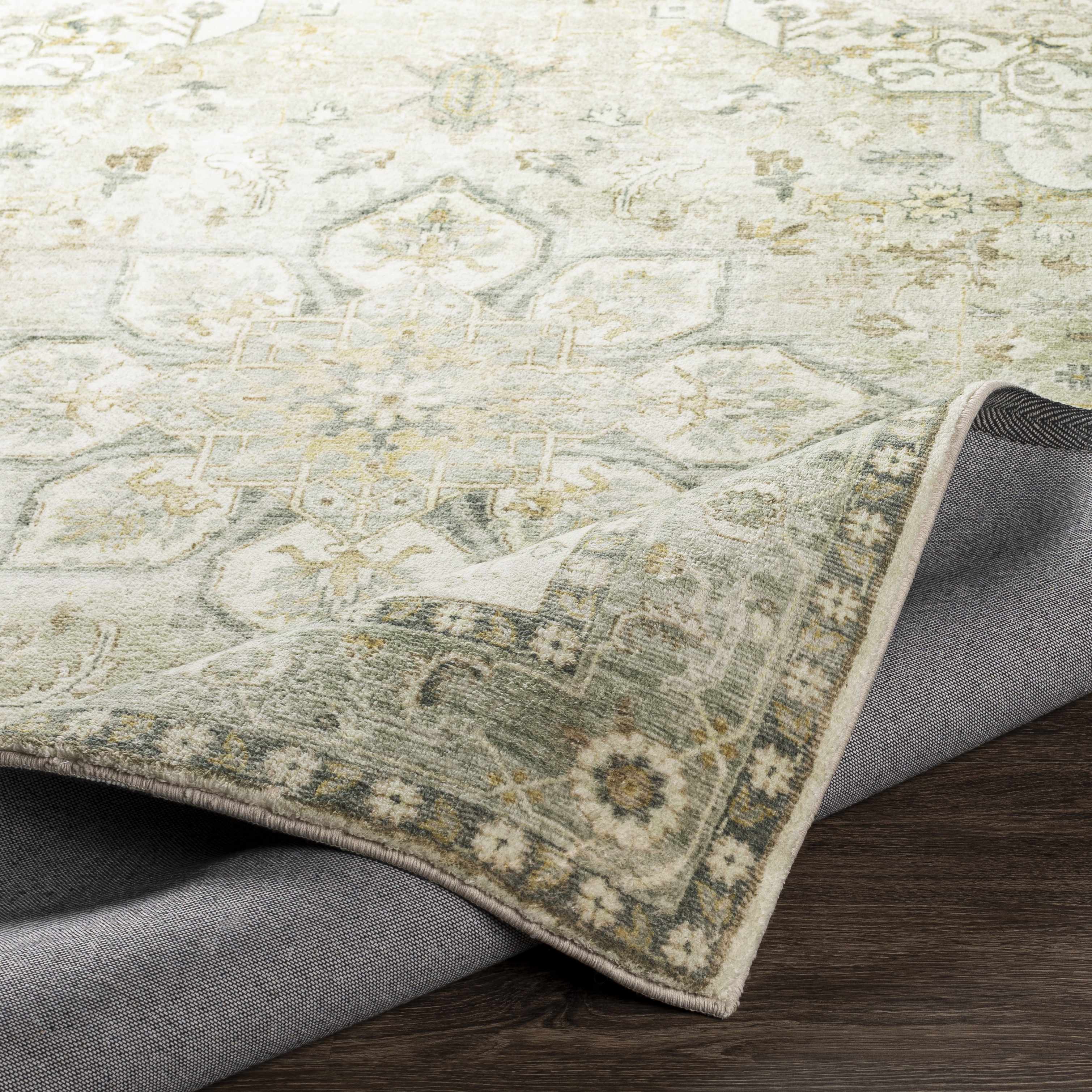Crondall Sage Traditional Area Rug - Image 6