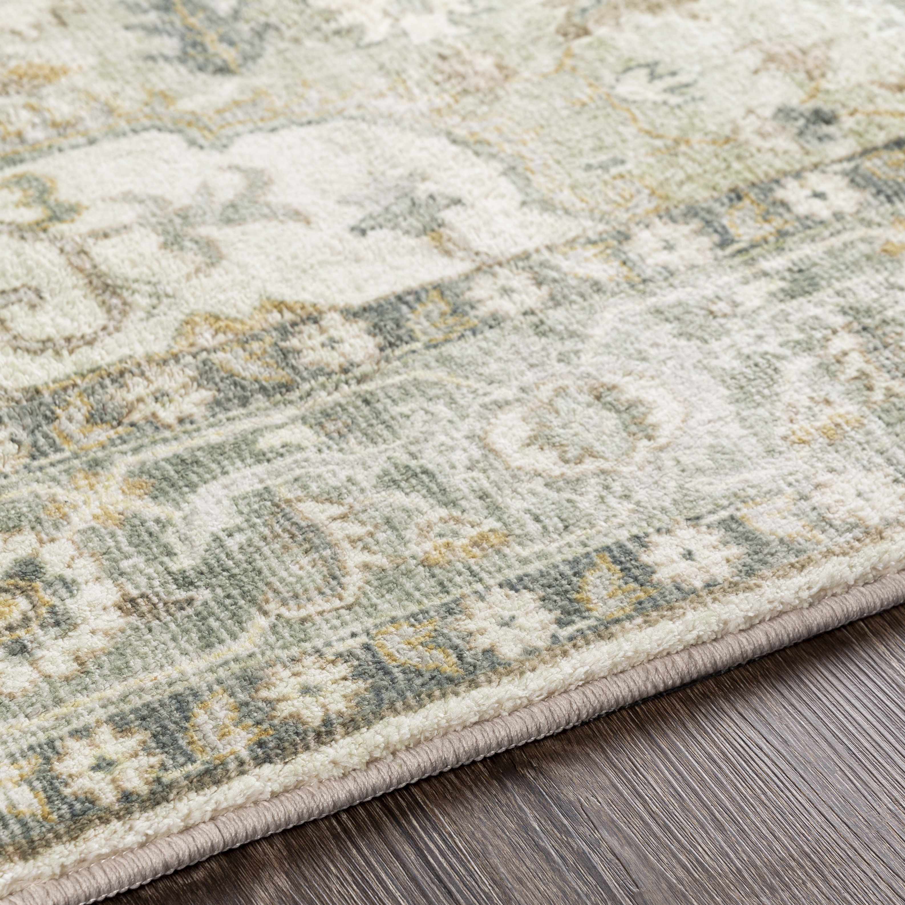 Crondall Sage Traditional Area Rug - Image 9