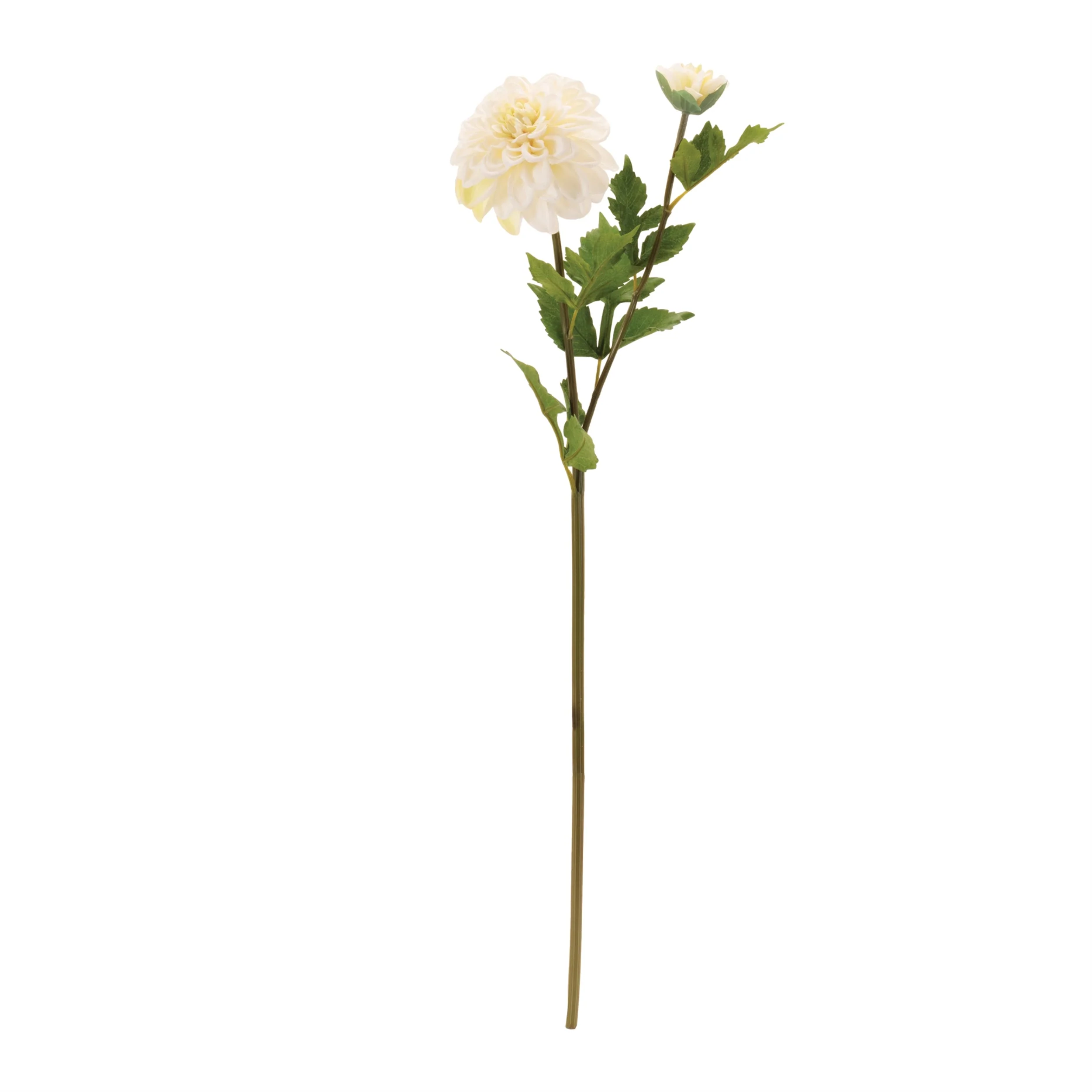 Dahlia Flower Stem (Set of 6) - Image 2
