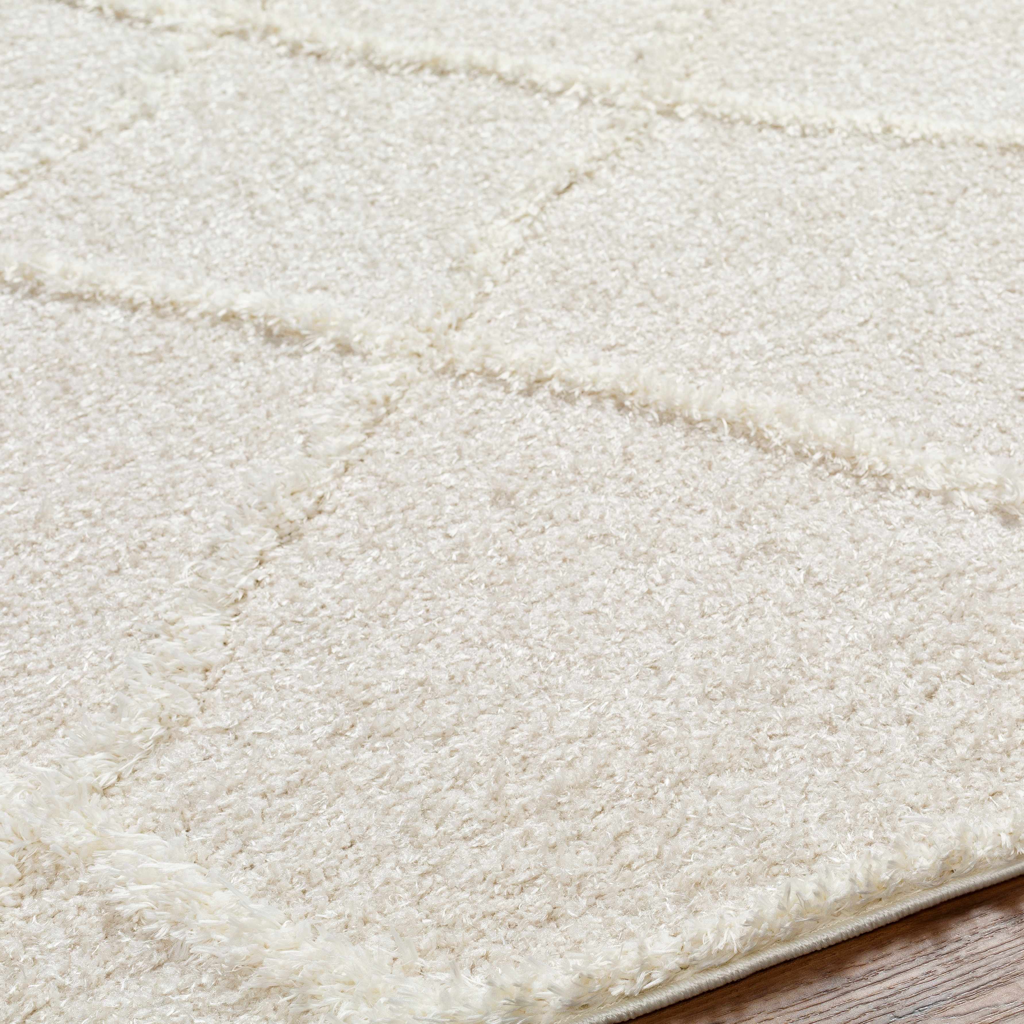 Daube Area Rug - Clearance - Image 5
