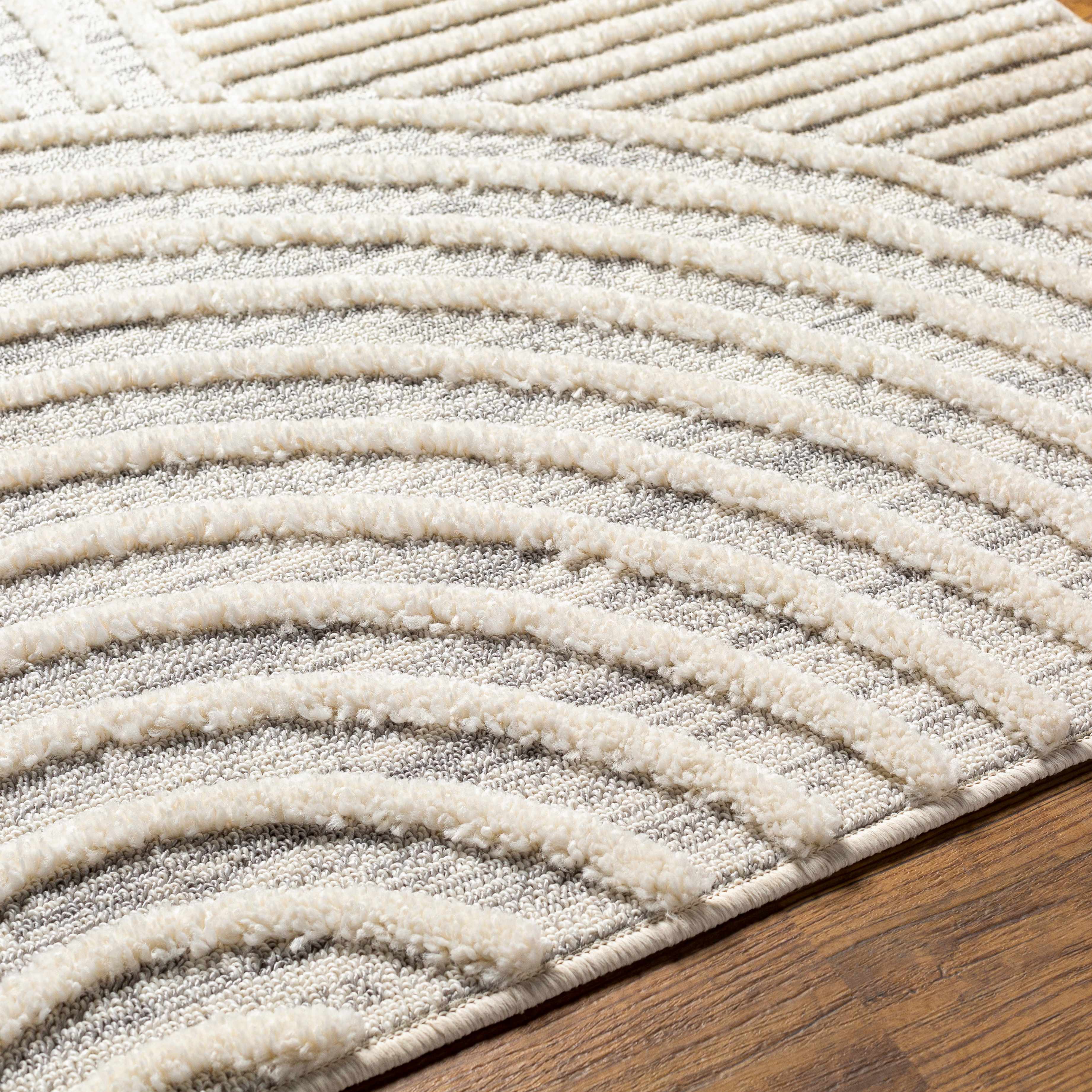 Dauin 3D Rainbow Area Rug with Tassels - Image 11