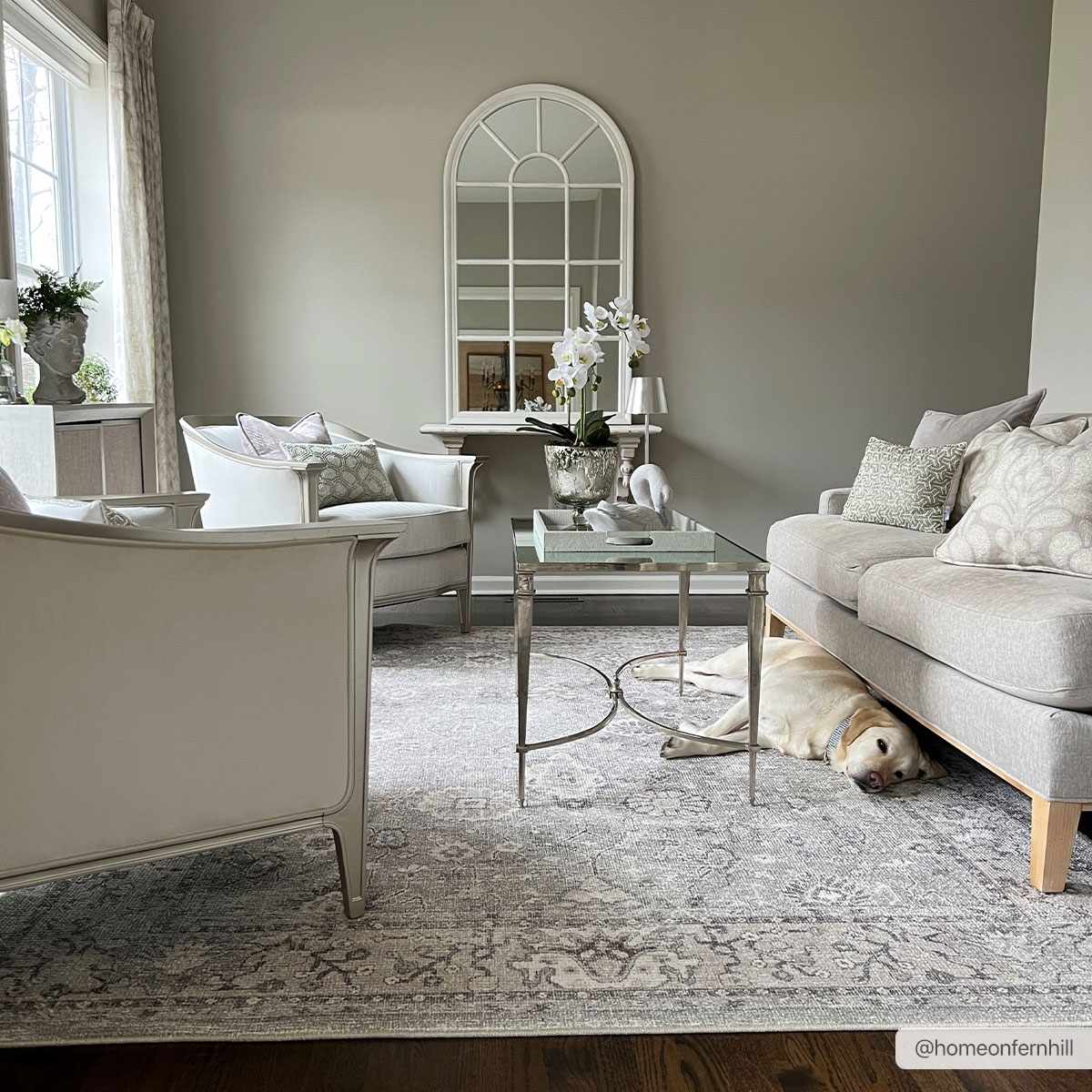 Davina Damask Light Gray - Livabliss x Becki Owens - Image 4