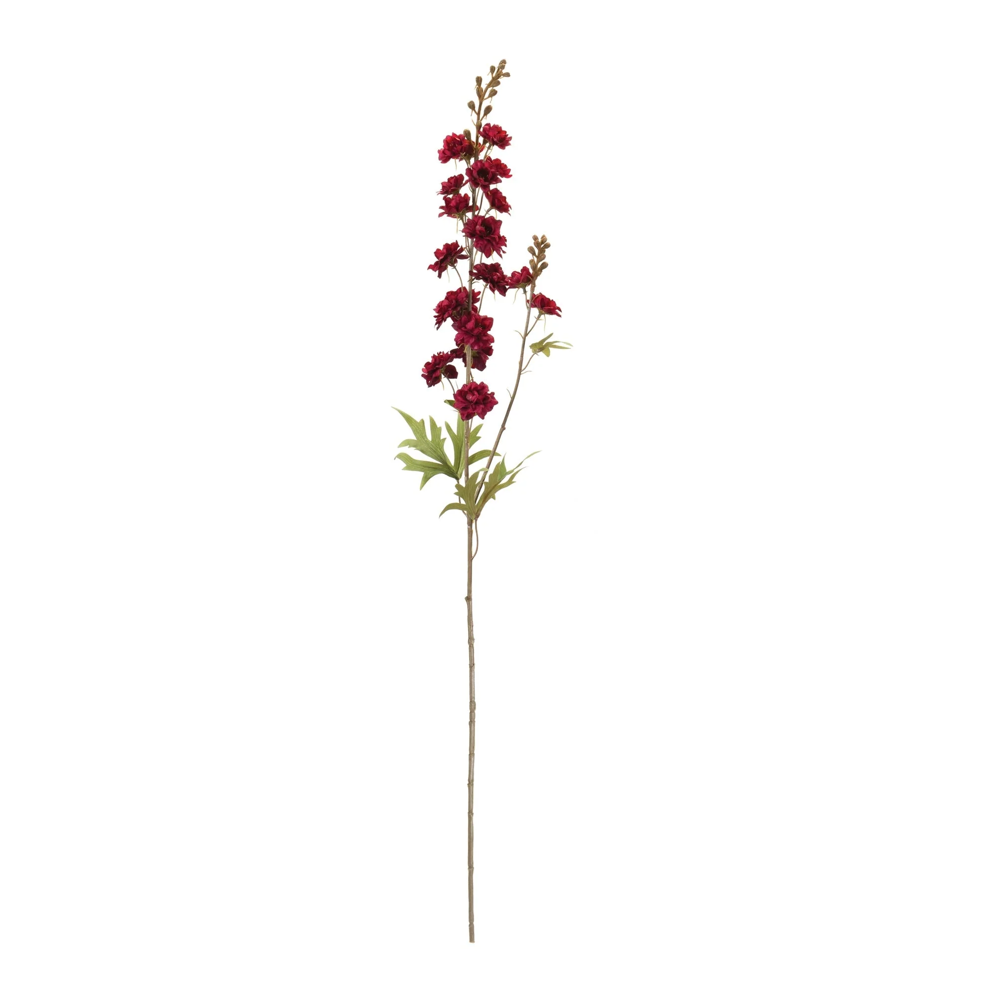 Delphinium (Set of 12) - Image 2
