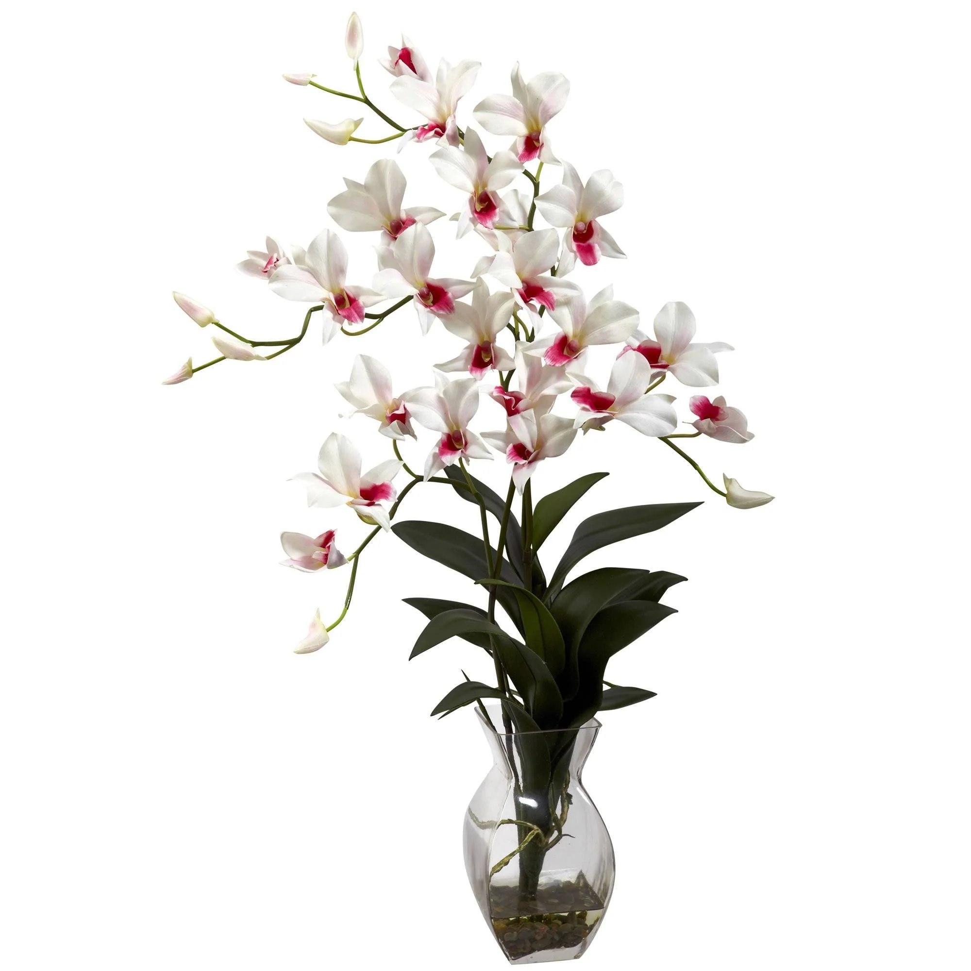 Dendrobium Orchid w/Vase Arrangement - Image 4
