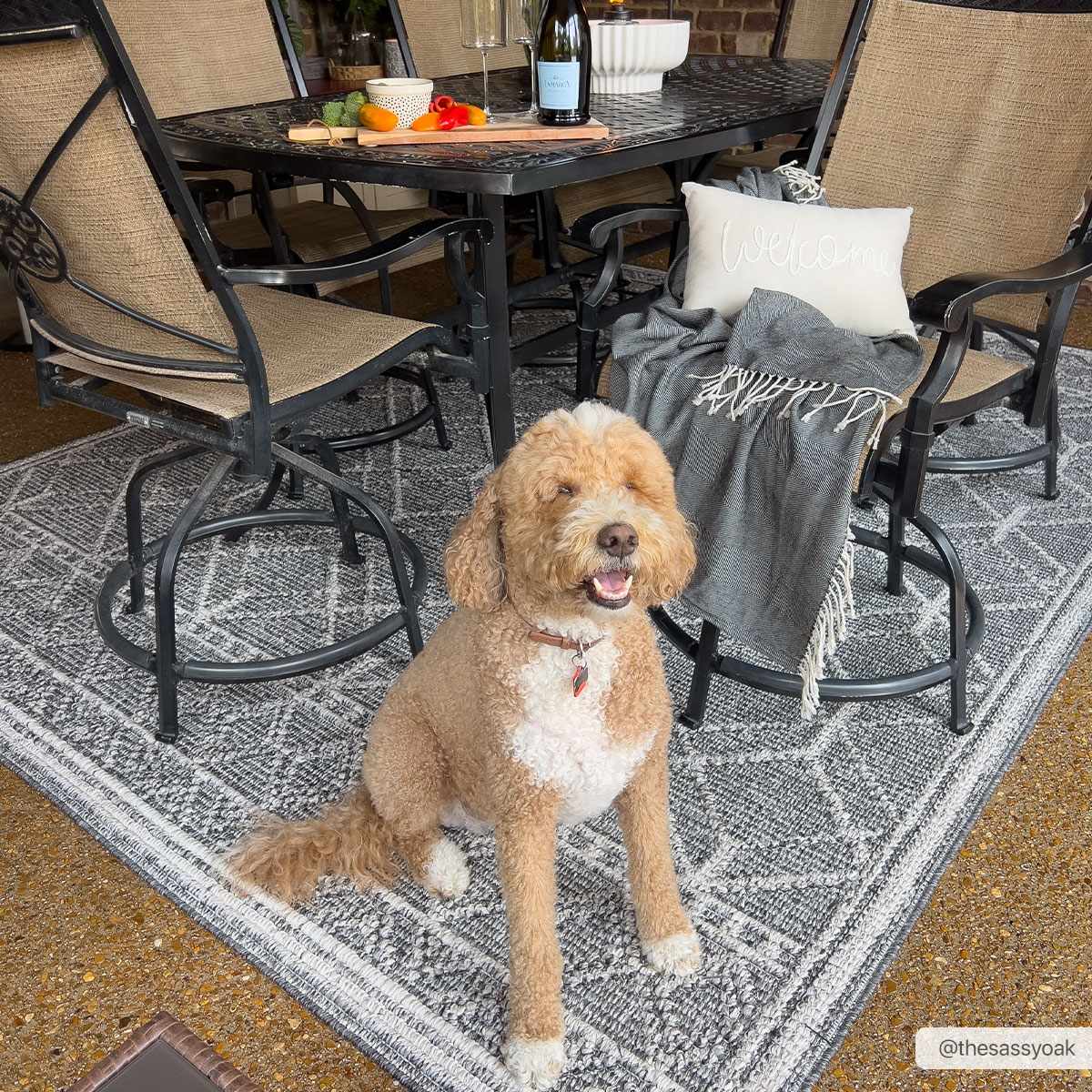 Diah Black & Bone Area Rug - Clearance - Image 2